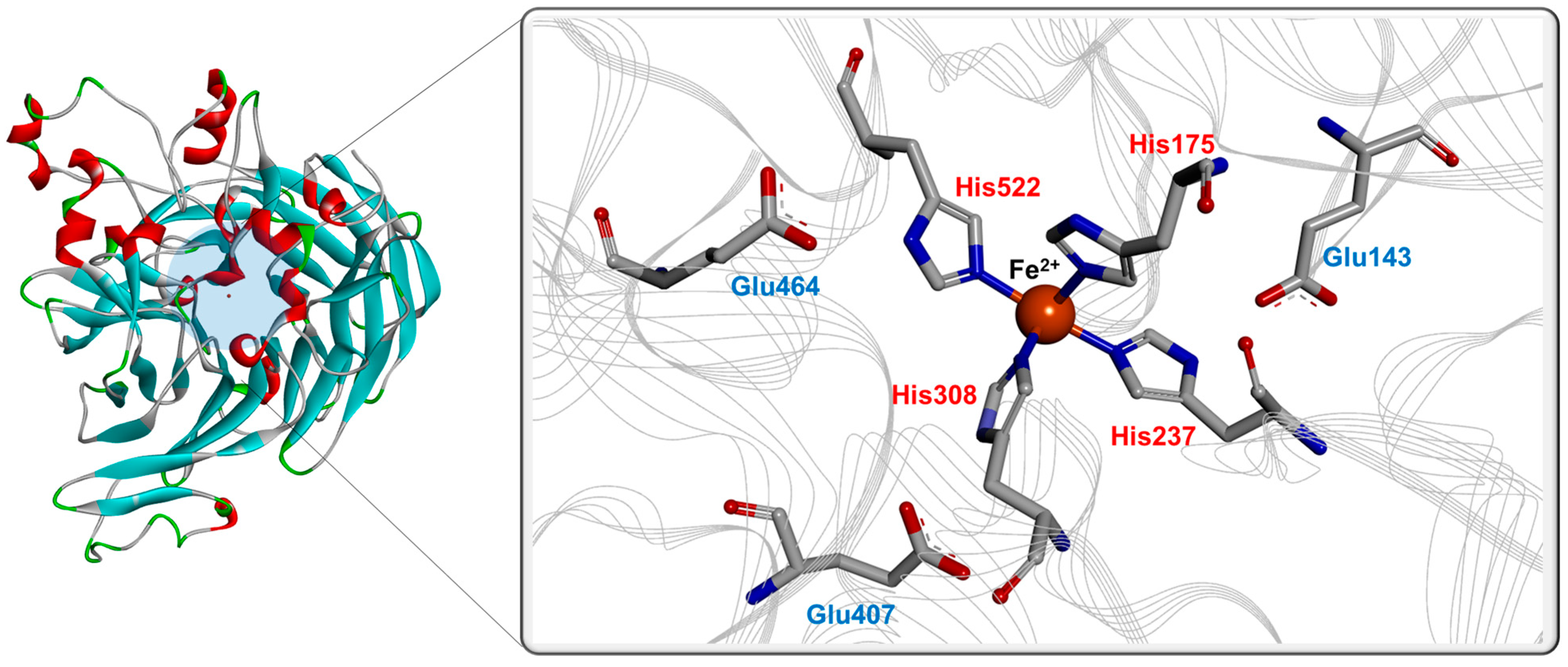 Antioxidants 11 01180 g002
