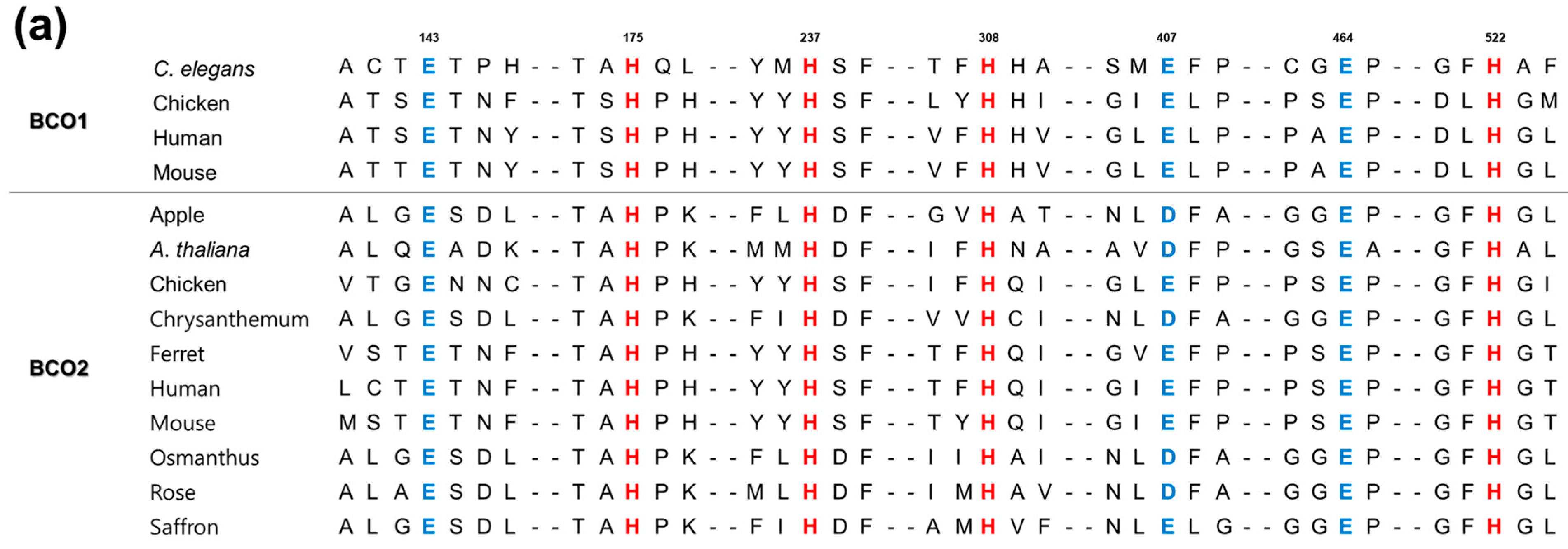 Antioxidants 11 01180 g003a