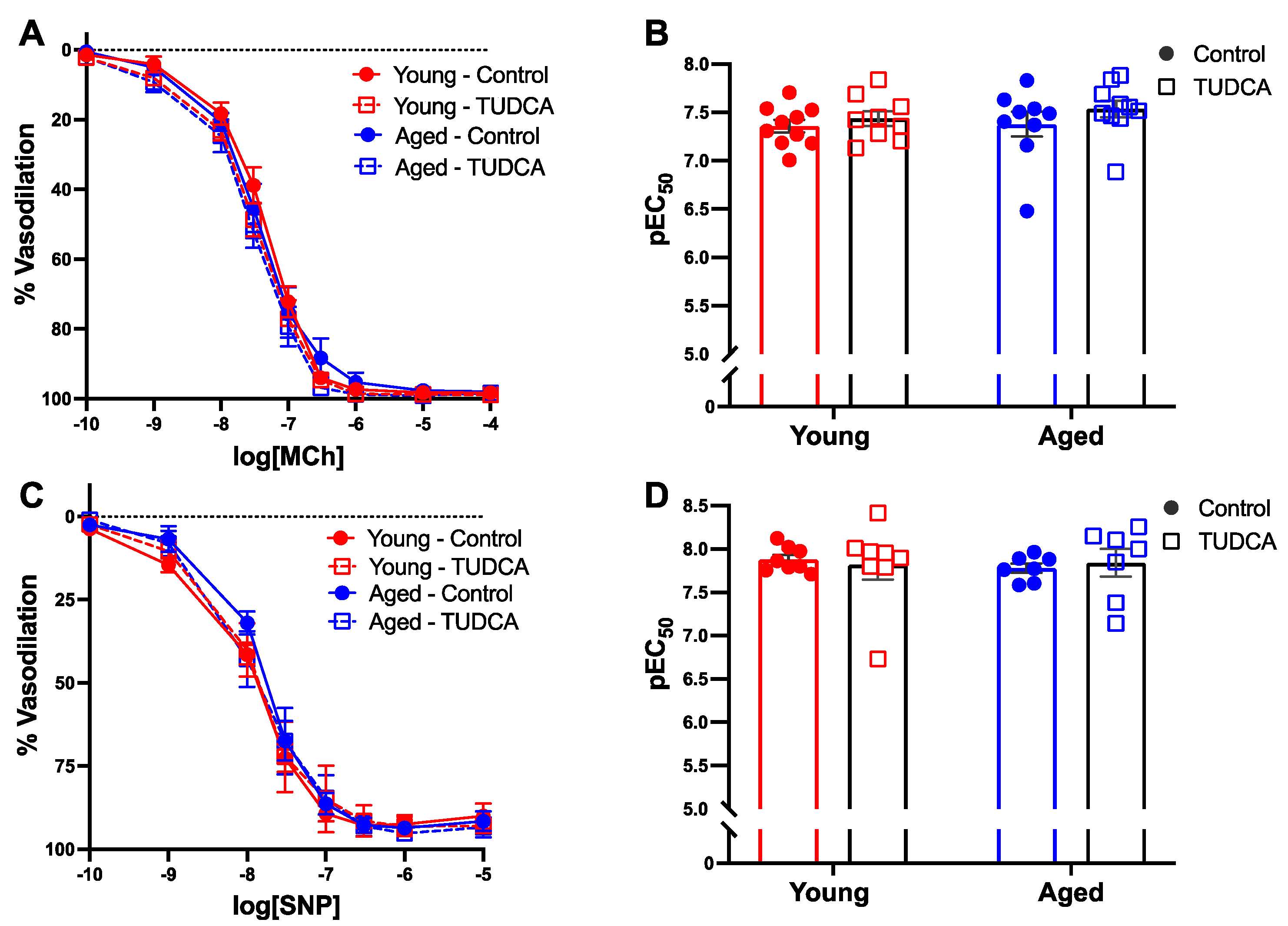 Antioxidants 11 01275 g004