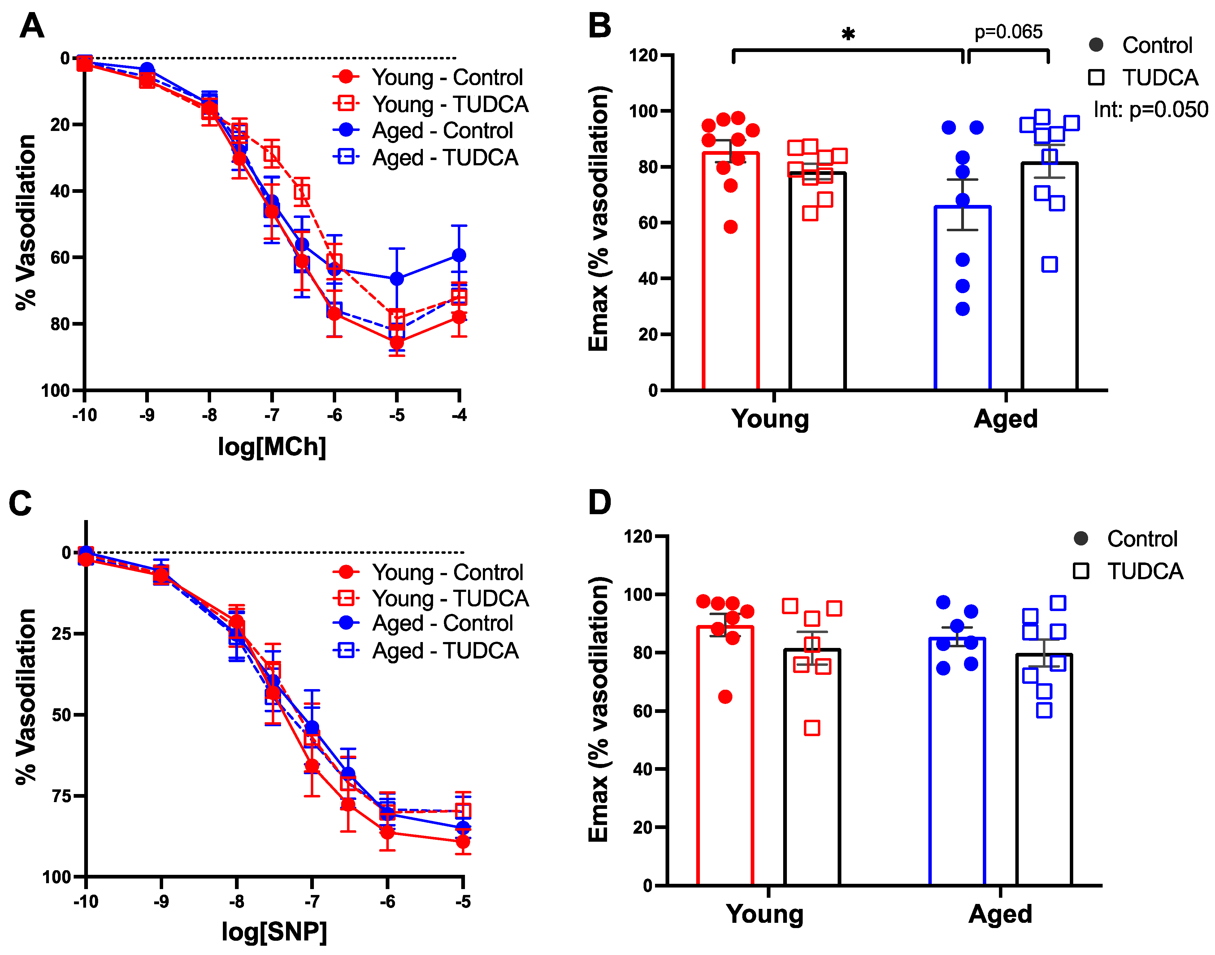Antioxidants 11 01275 g007