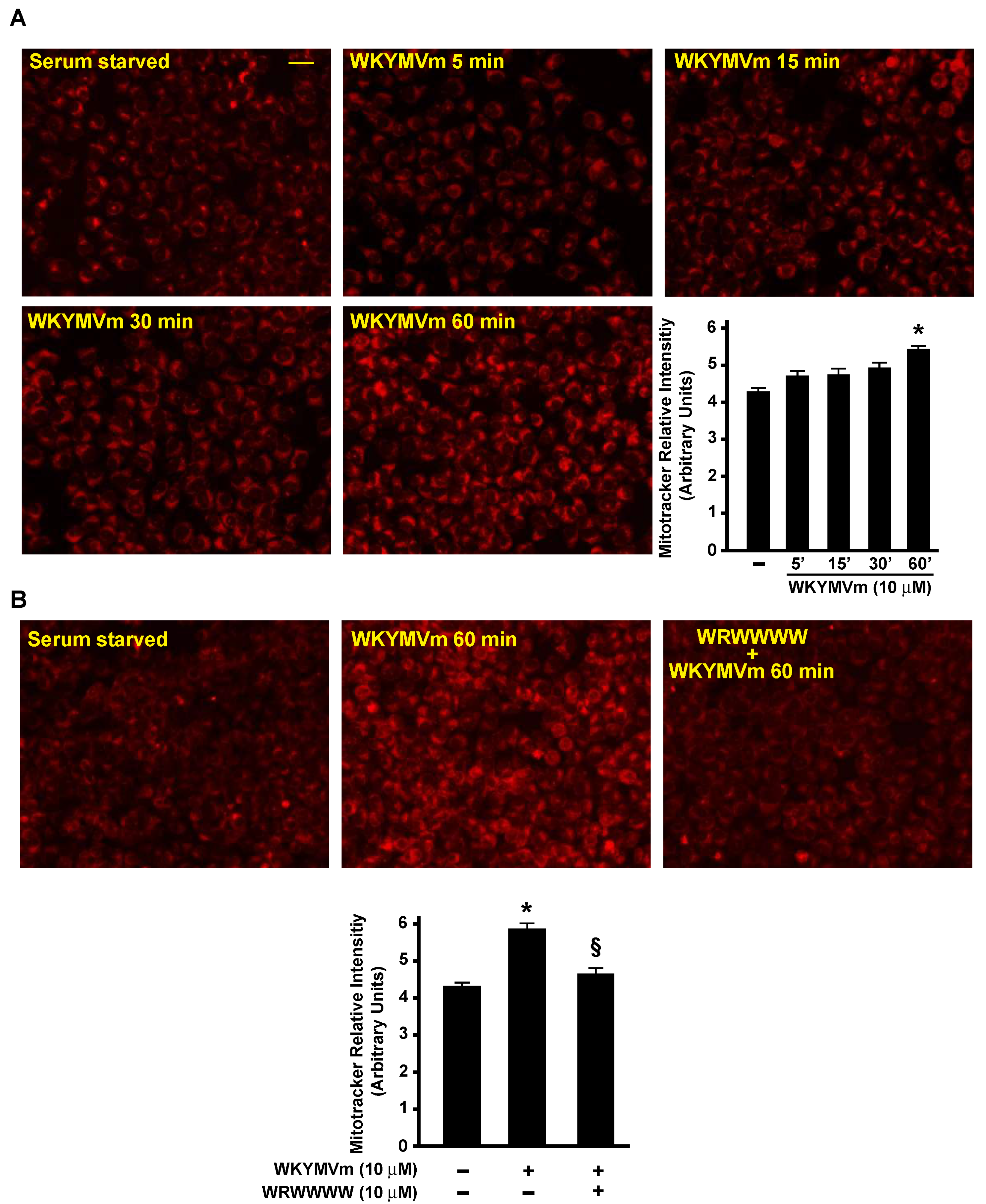 Antioxidants 11 01692 g007
