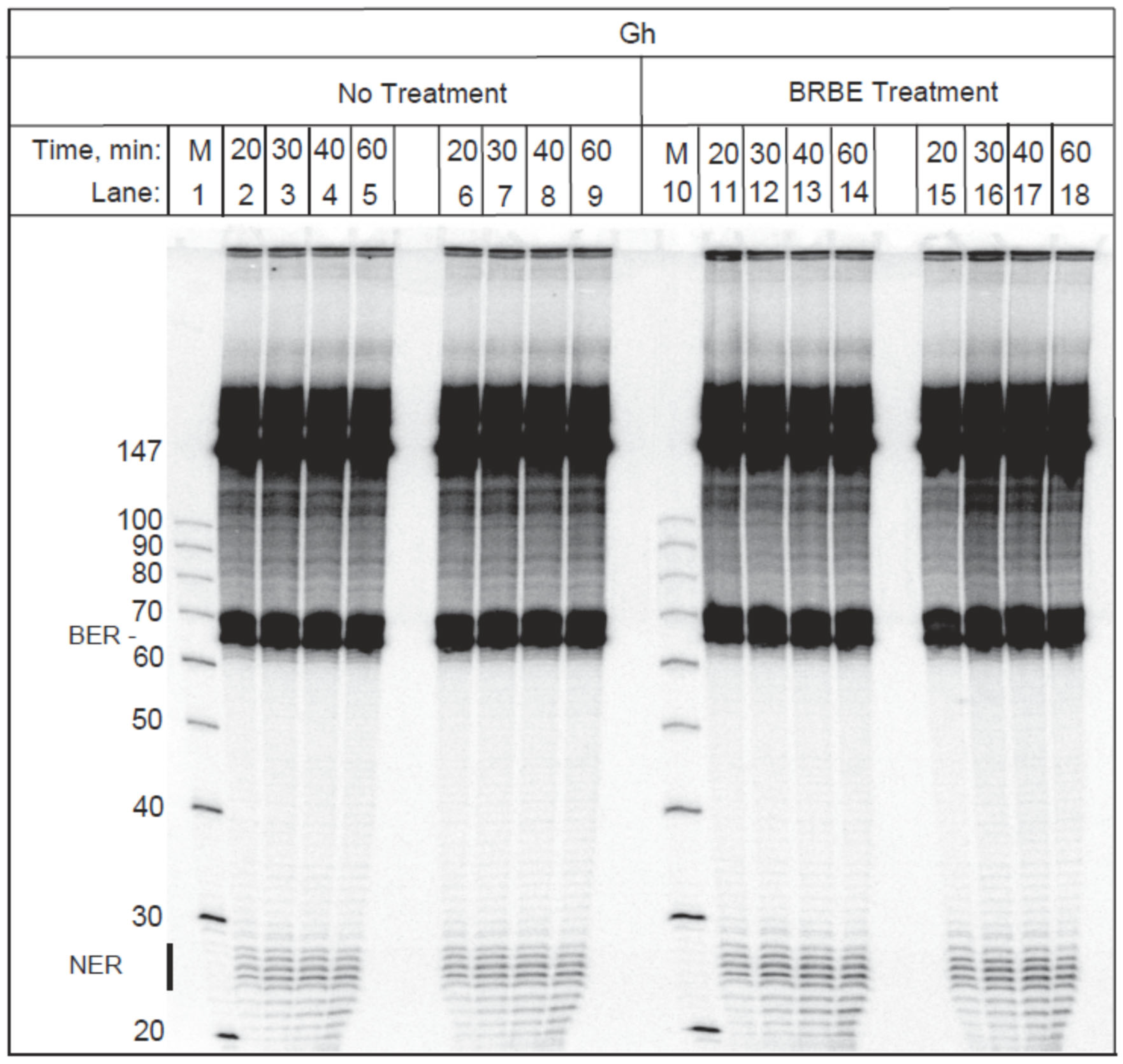 Antioxidants 11 02110 g002