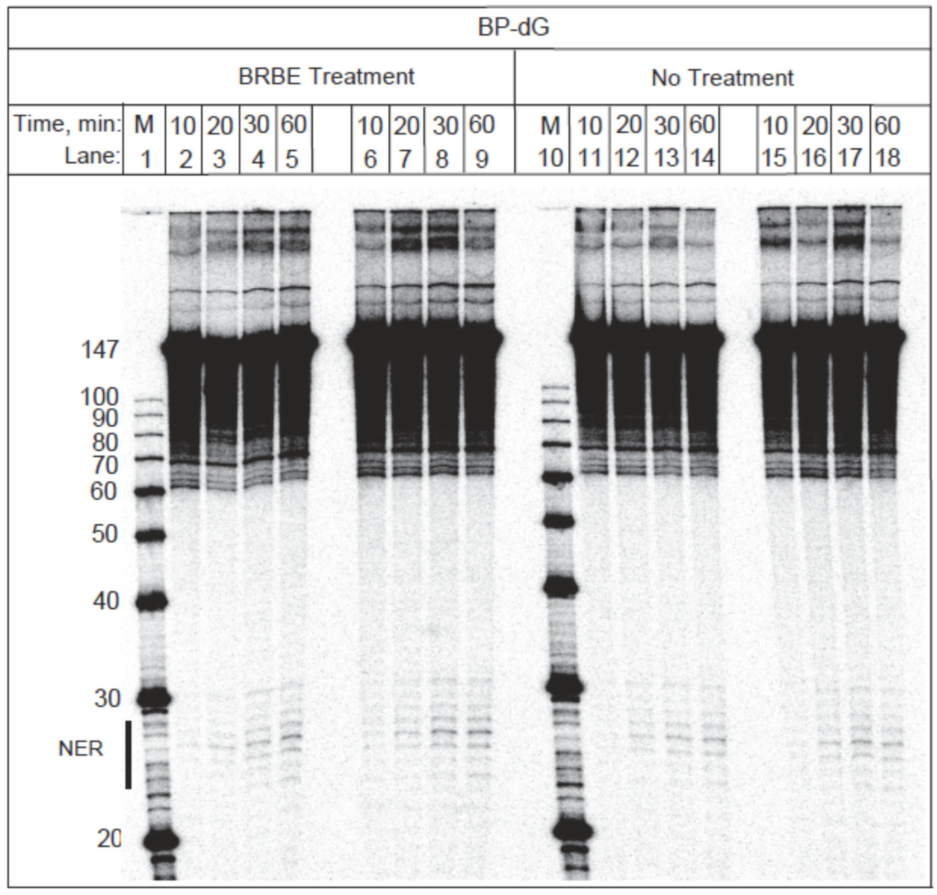 Antioxidants 11 02110 g004