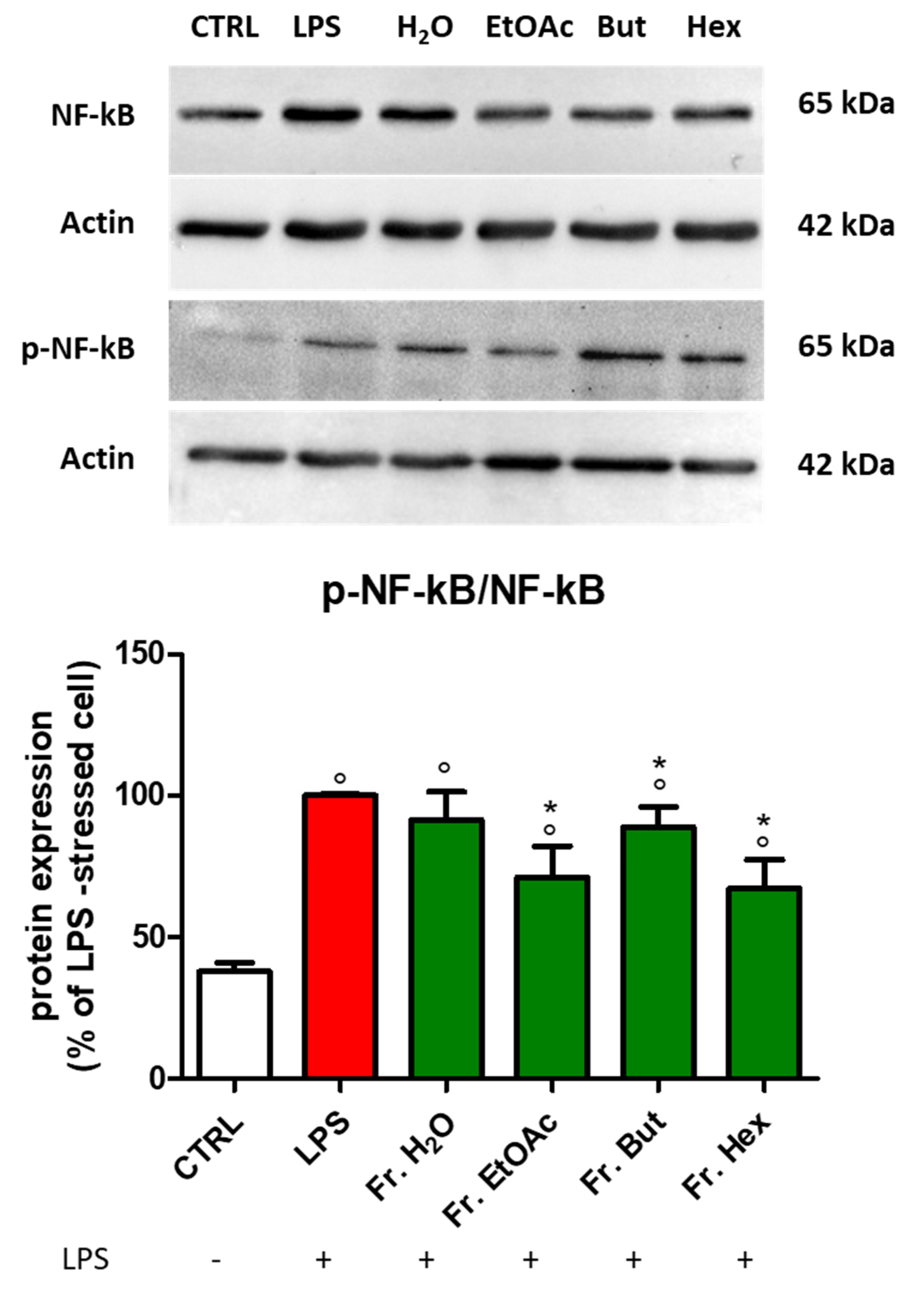 Antioxidants 12 00808 g010