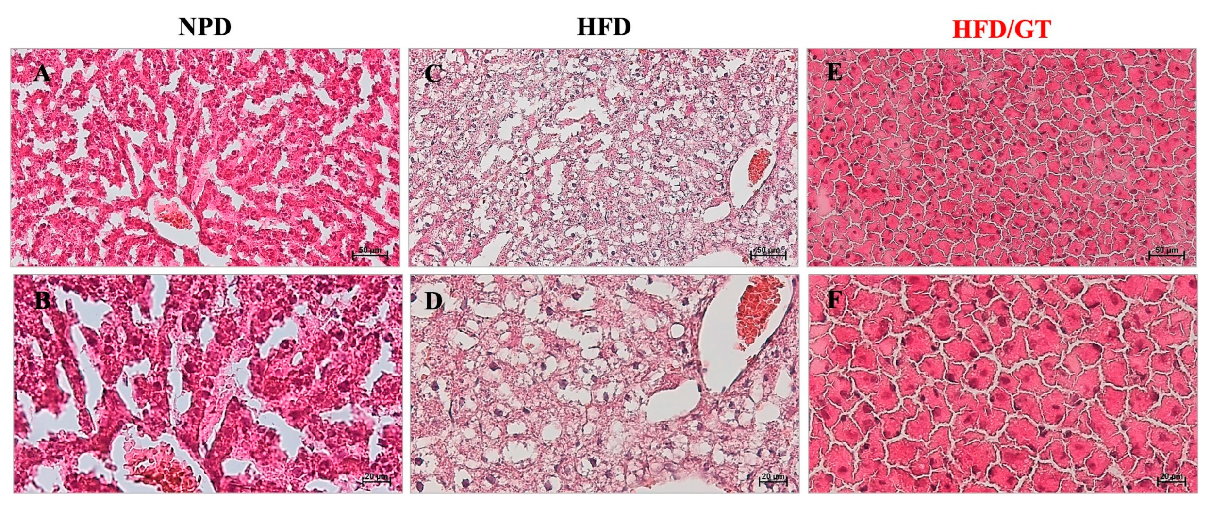 Antioxidants 12 01121 g006