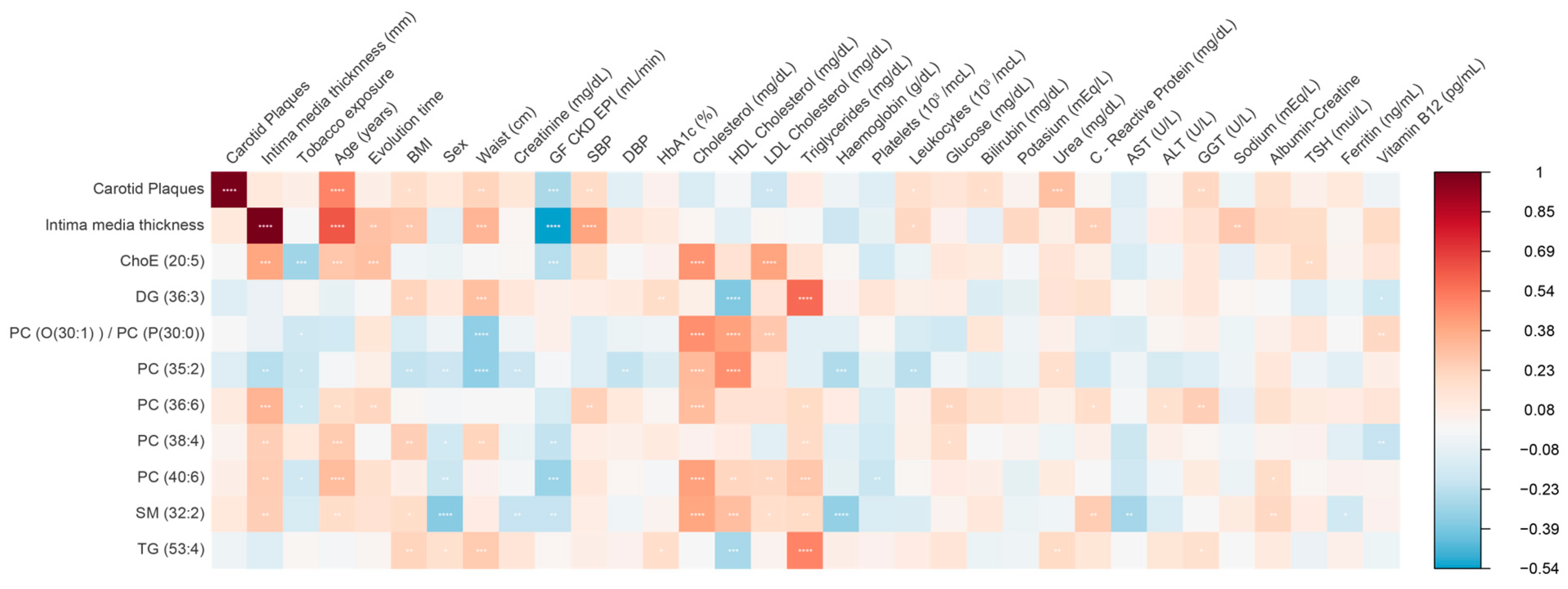 Antioxidants 12 01132 g004