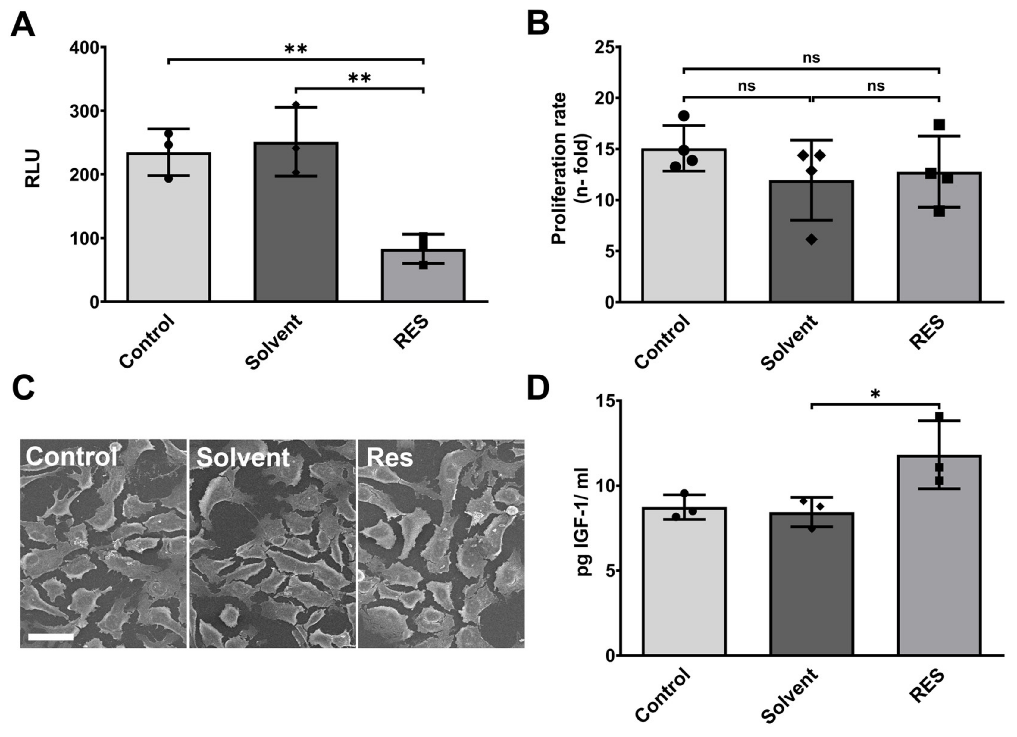 Antioxidants 12 01248 g001