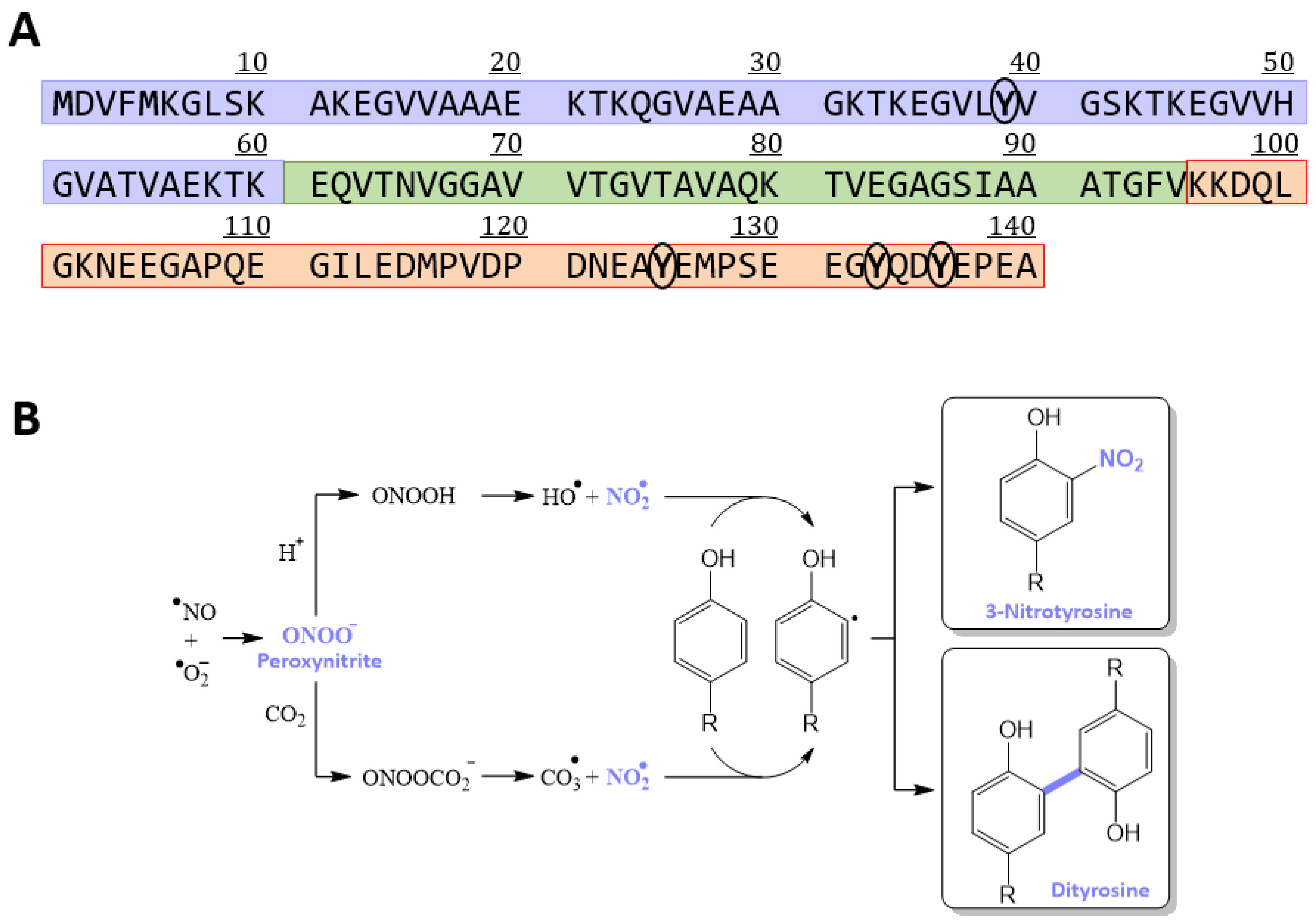 Antioxidants 12 01310 g001