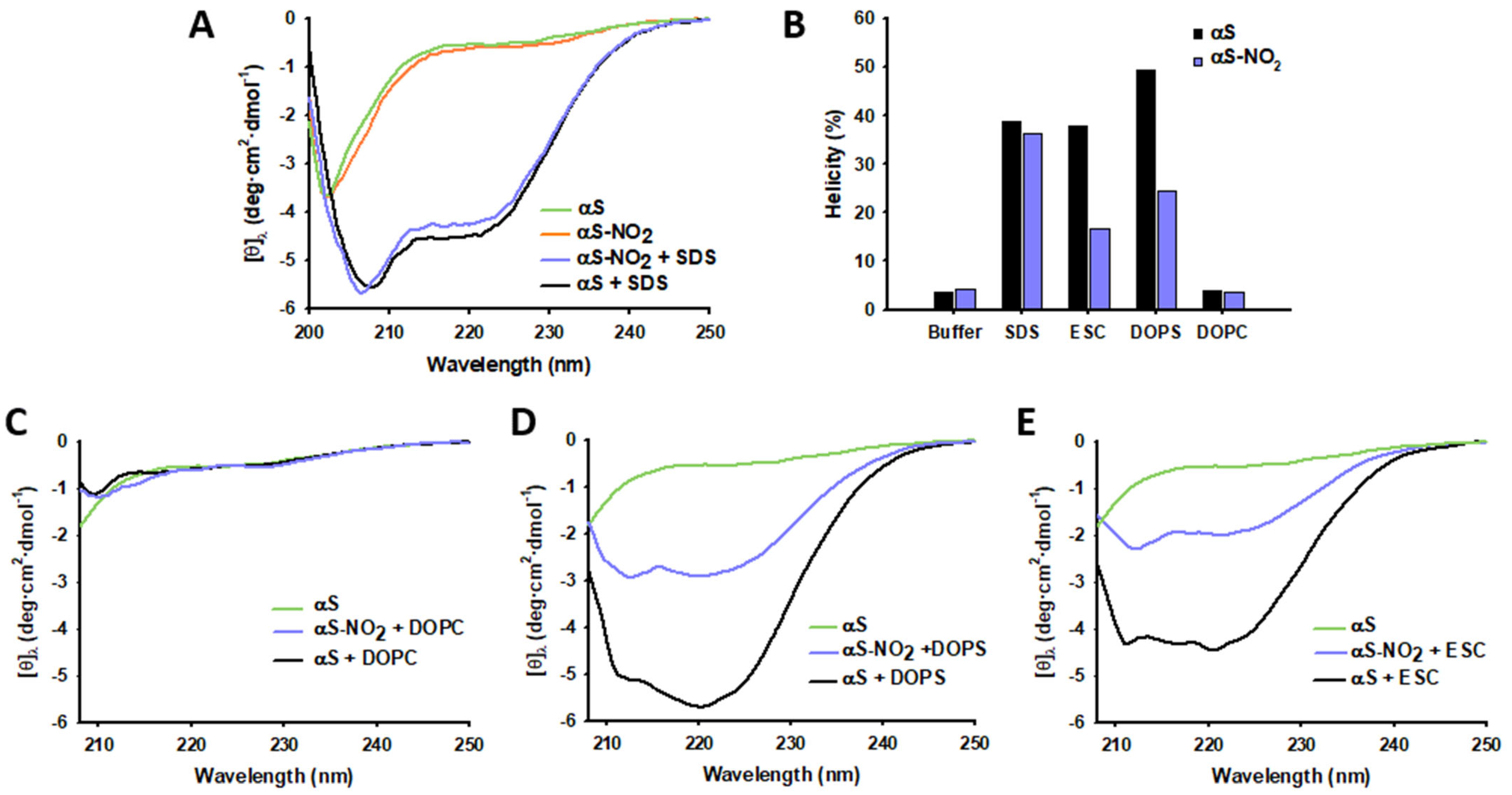 Antioxidants 12 01310 g002