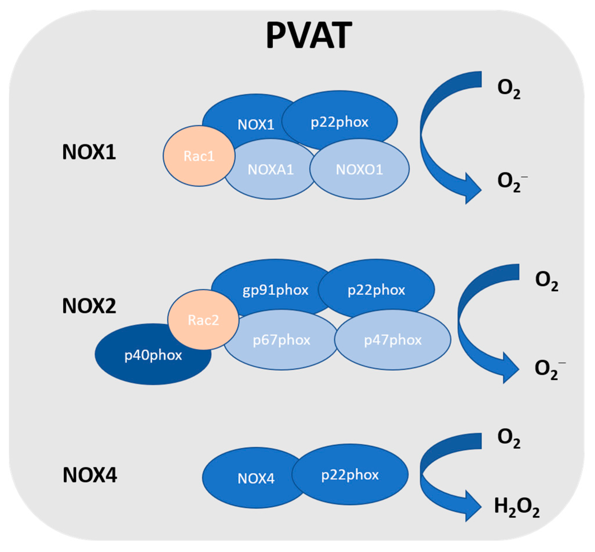 Antioxidants 12 01595 g001