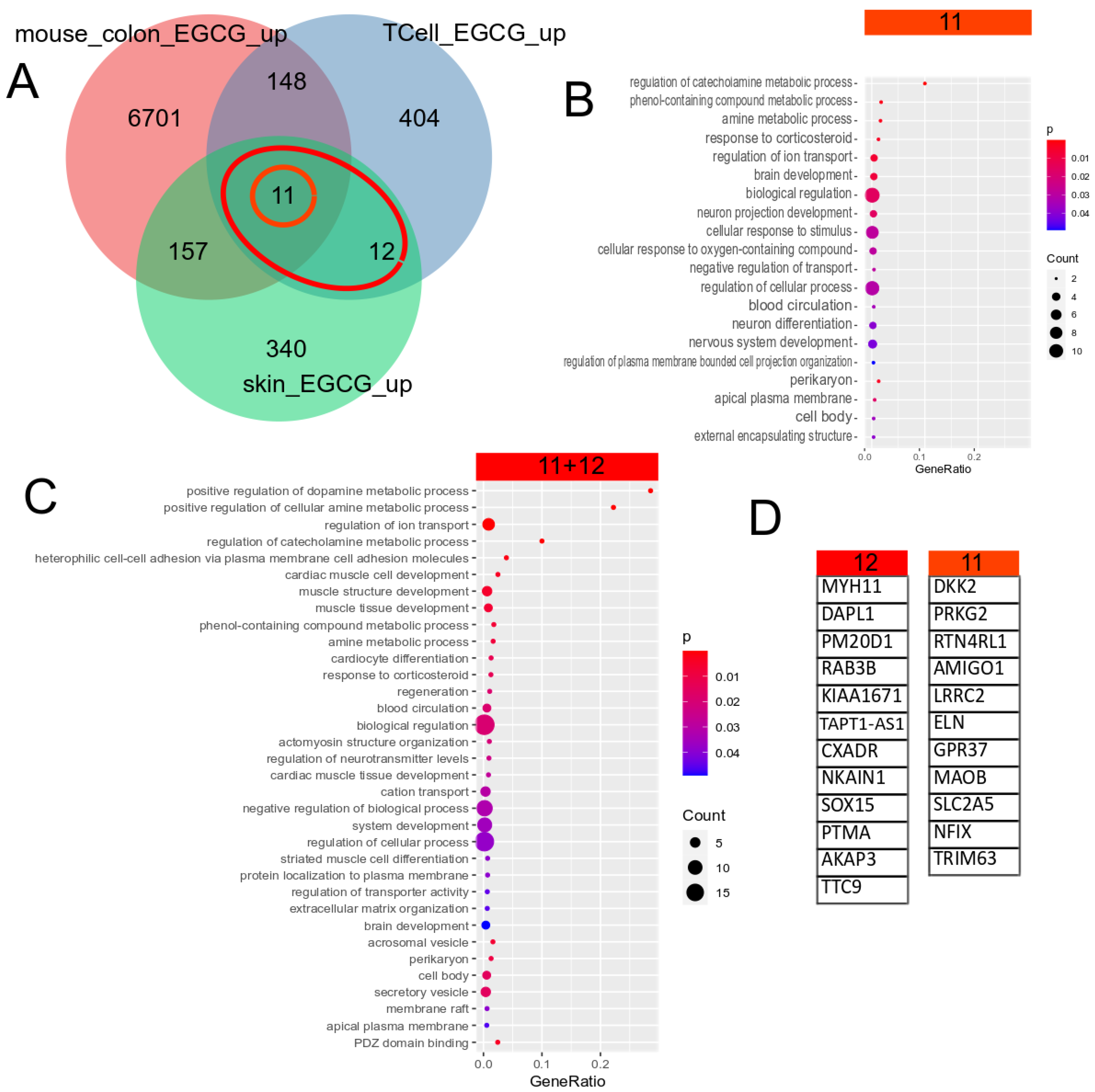 Antioxidants 12 01599 g001