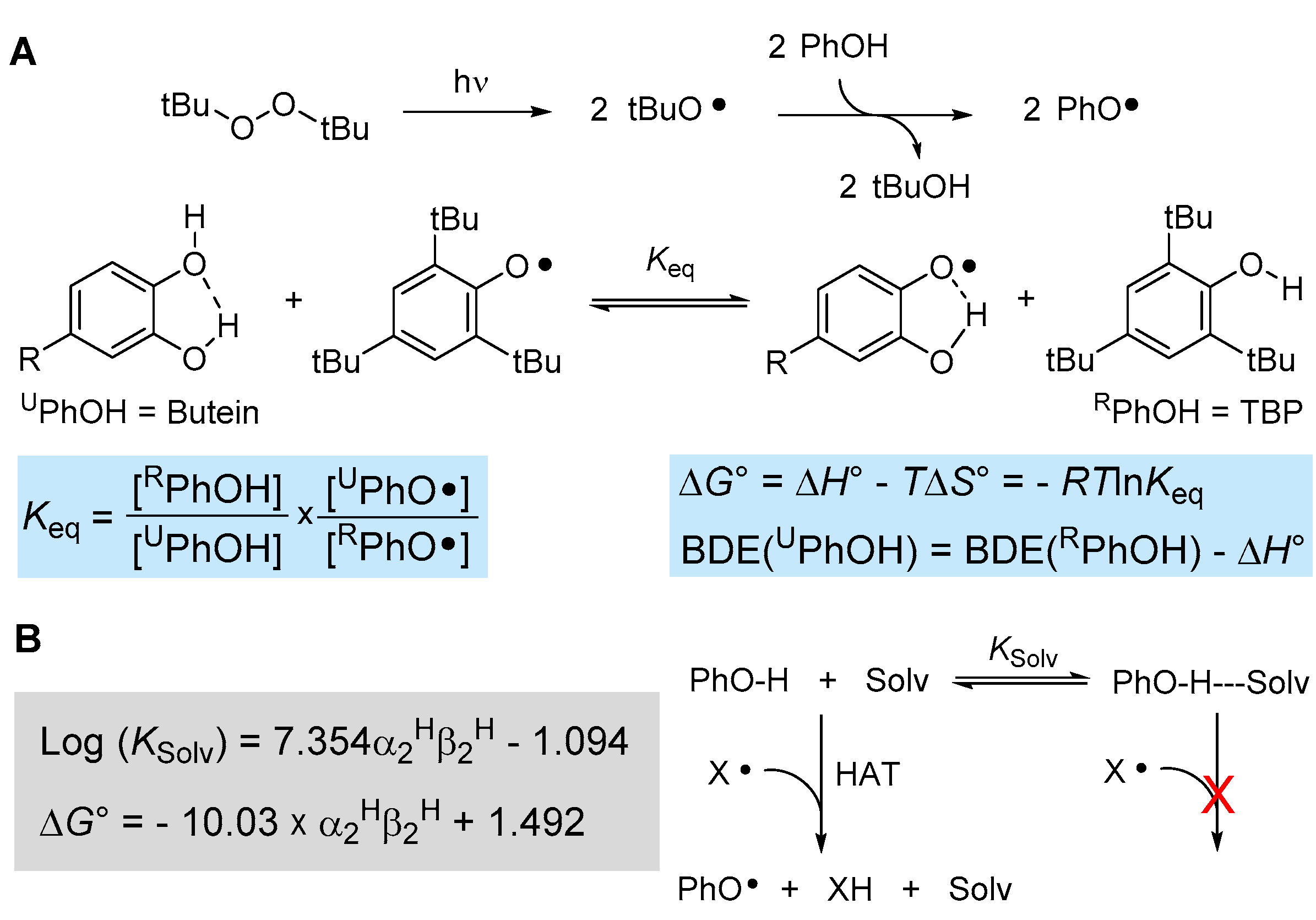 Antioxidants 12 01763 g003