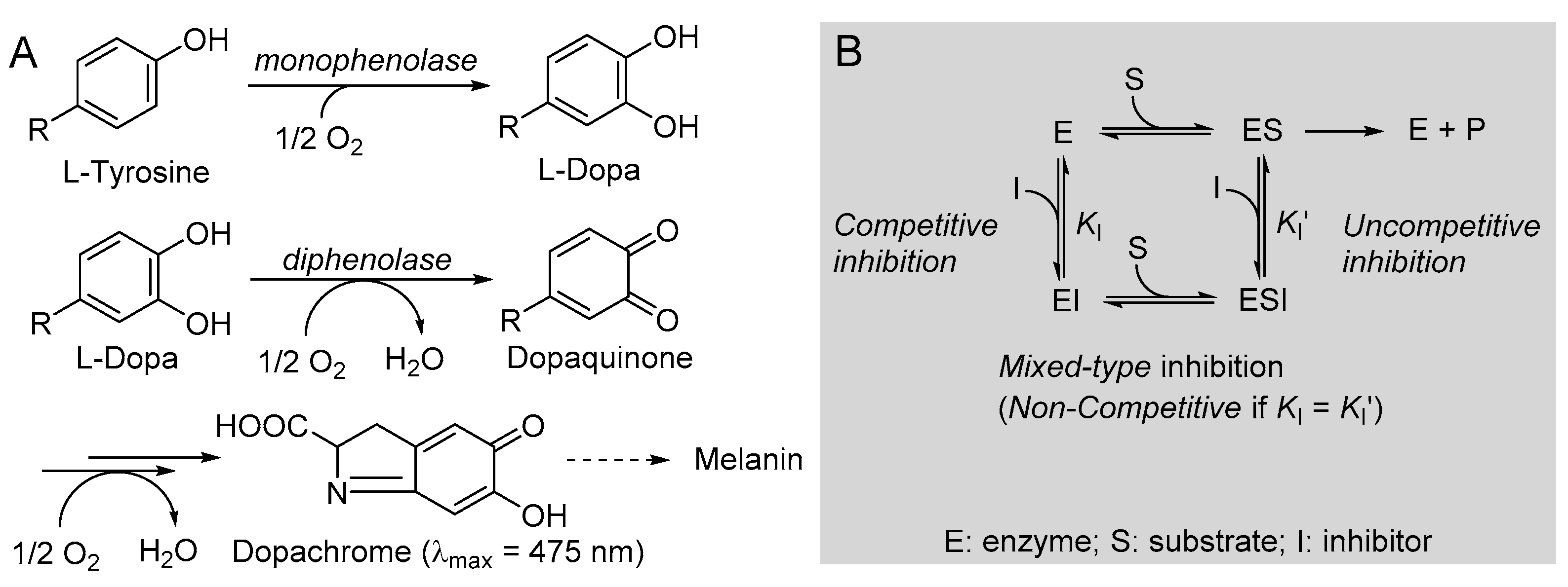 Antioxidants 12 01763 g004