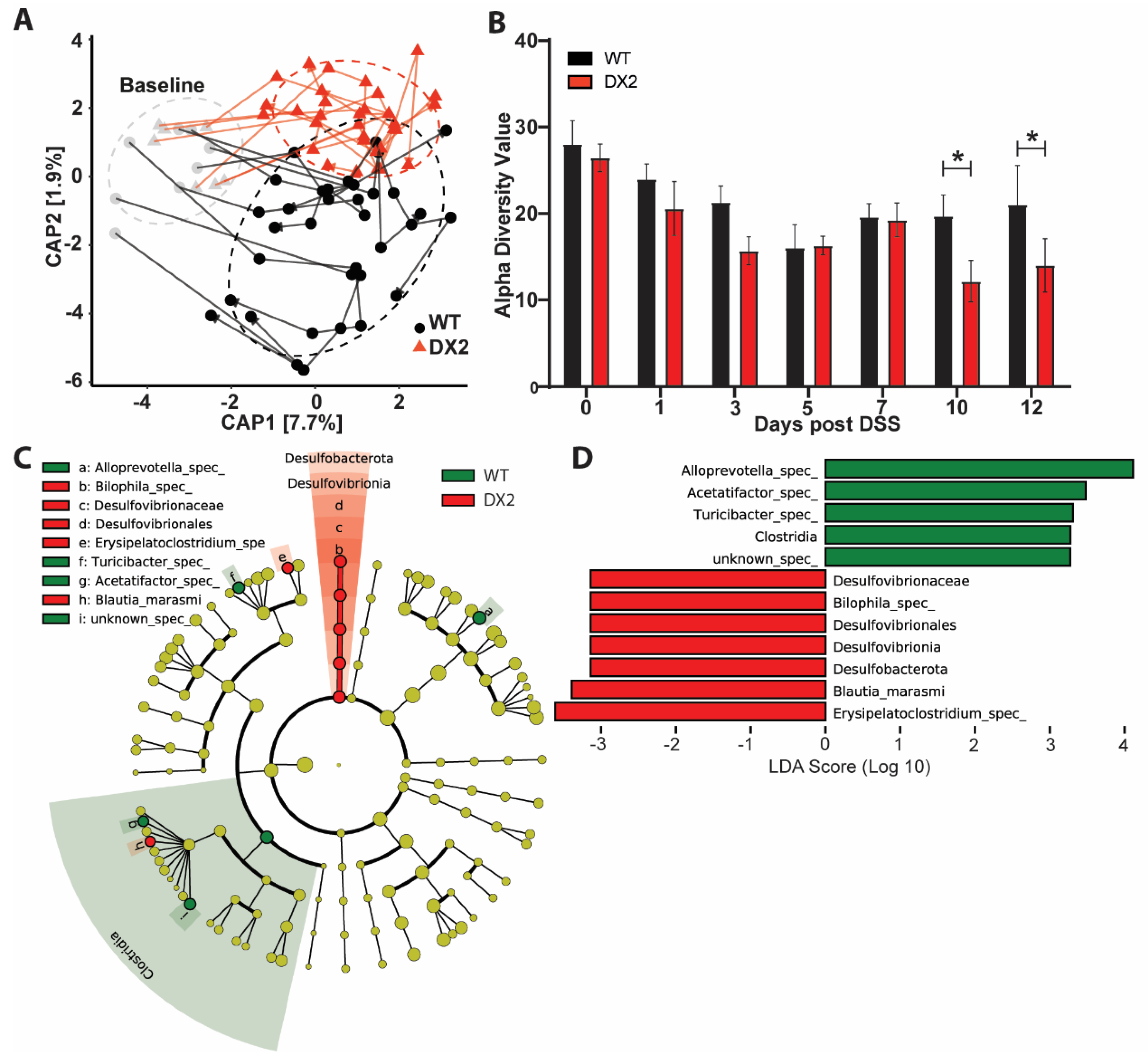 Antioxidants 12 01889 g004