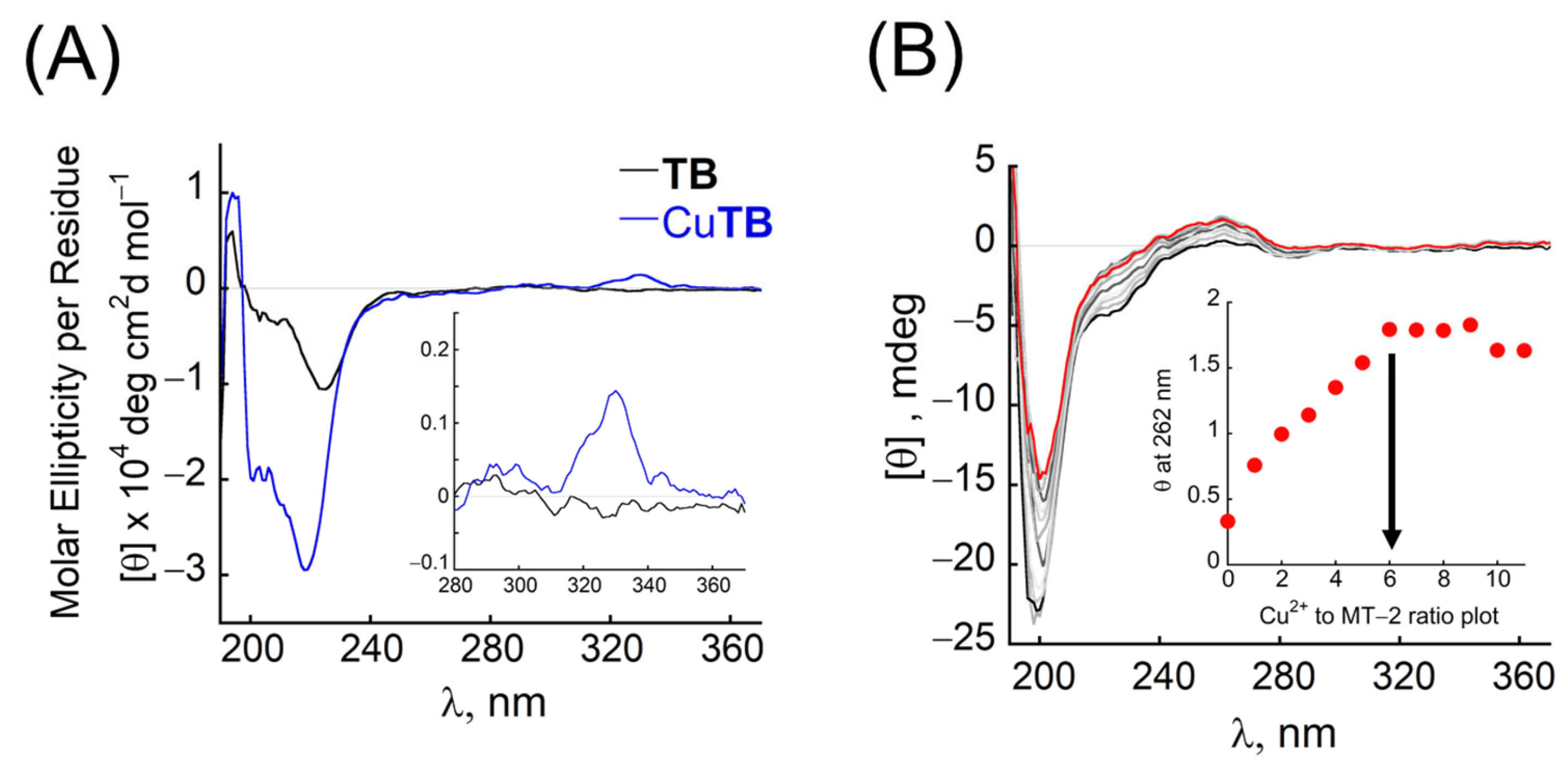 Antioxidants 12 02031 g003