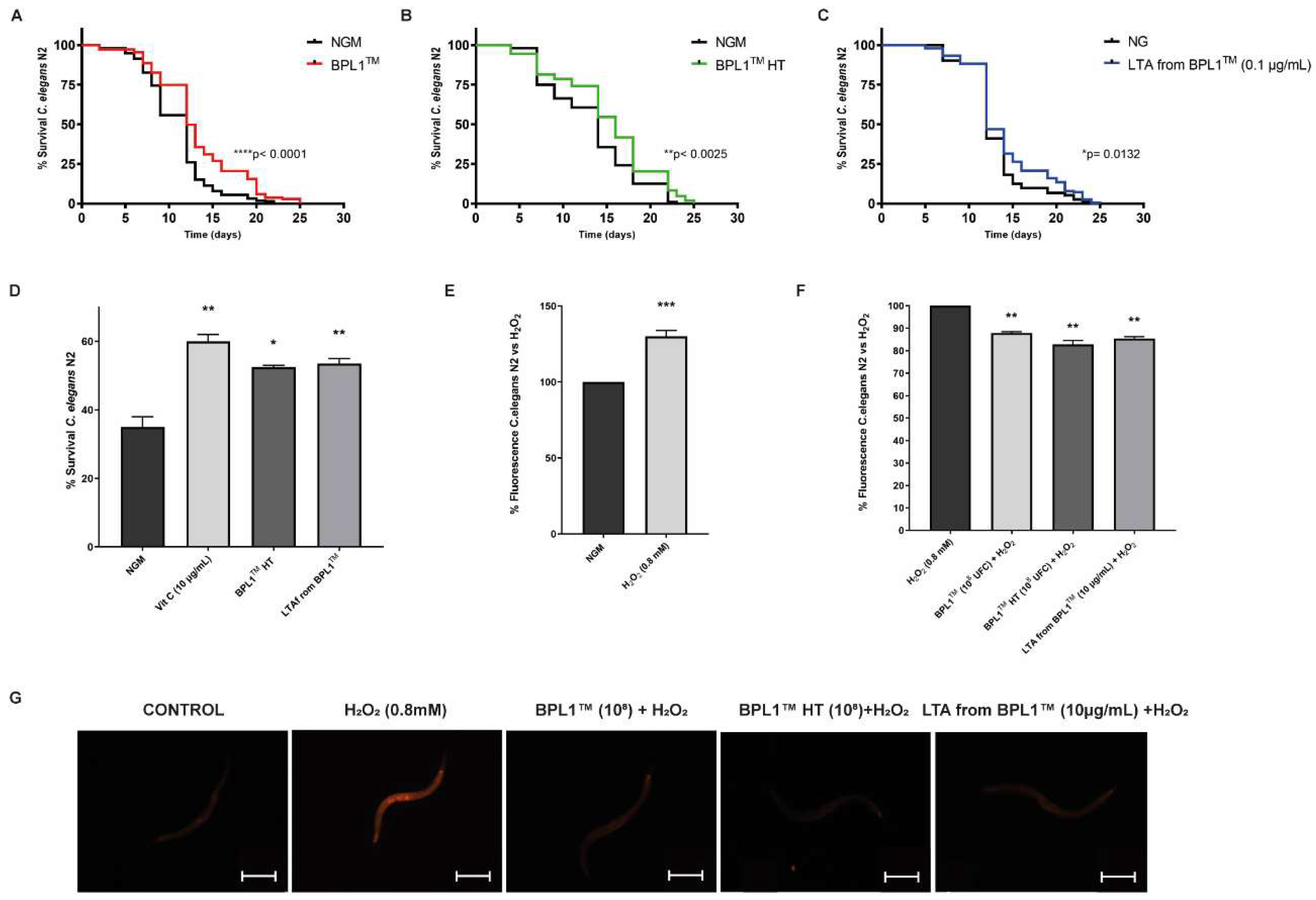 Antioxidants 12 02107 g002