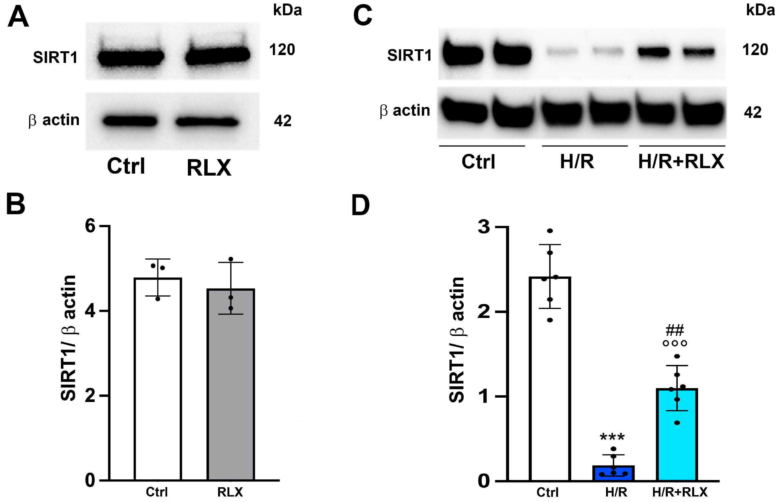 Antioxidants 13 00163 g001