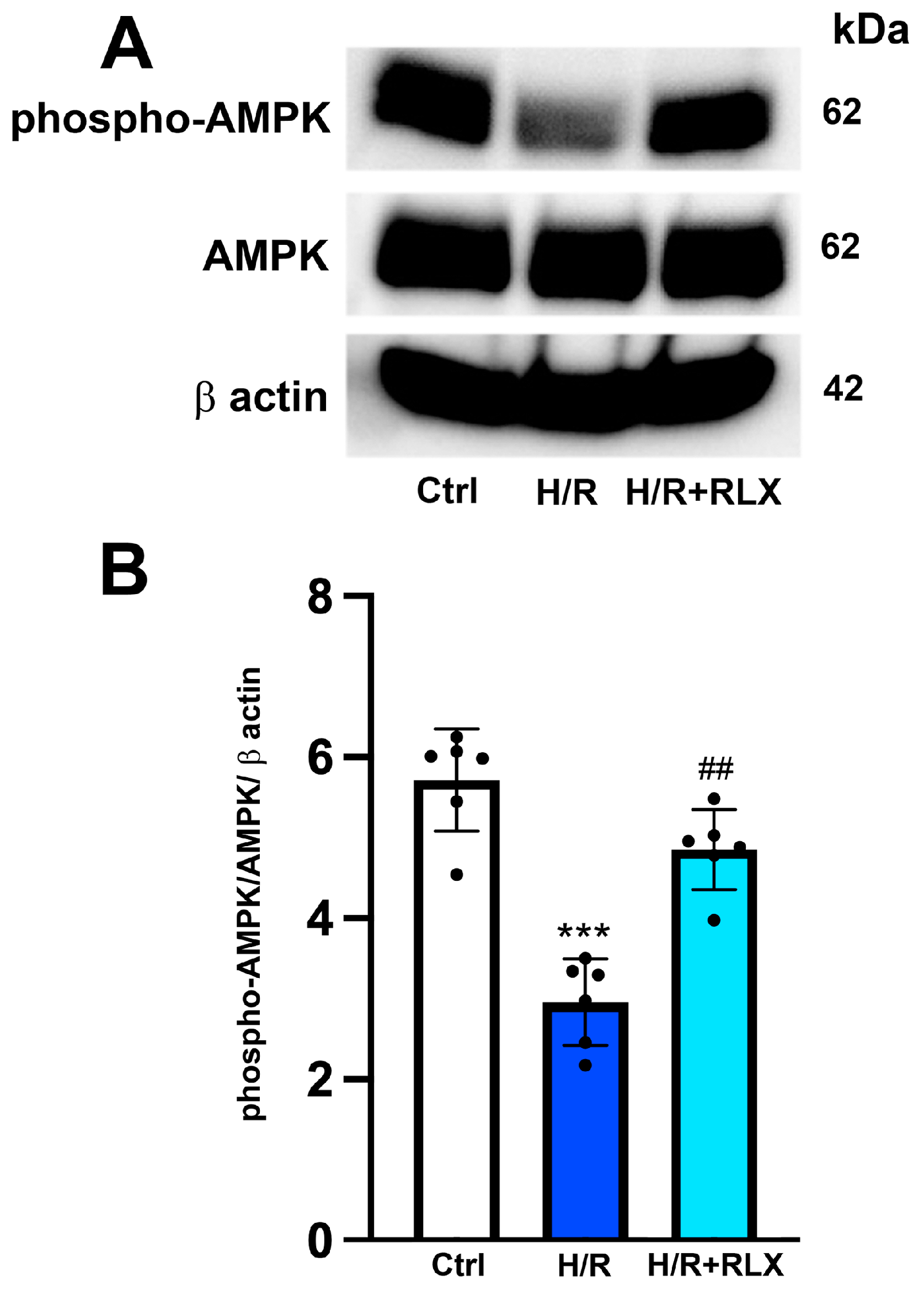 Antioxidants 13 00163 g005