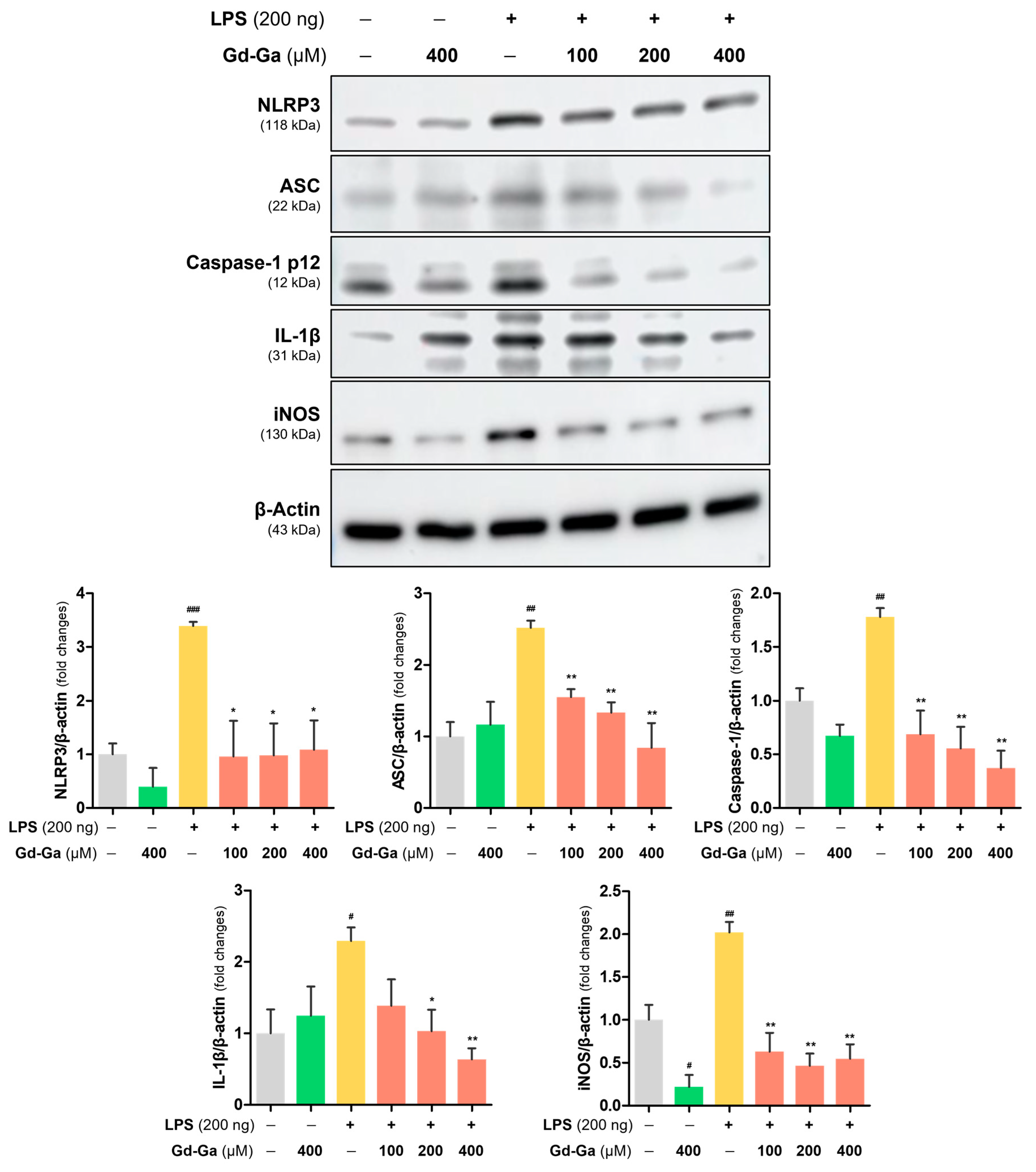 Antioxidants 13 00204 g006