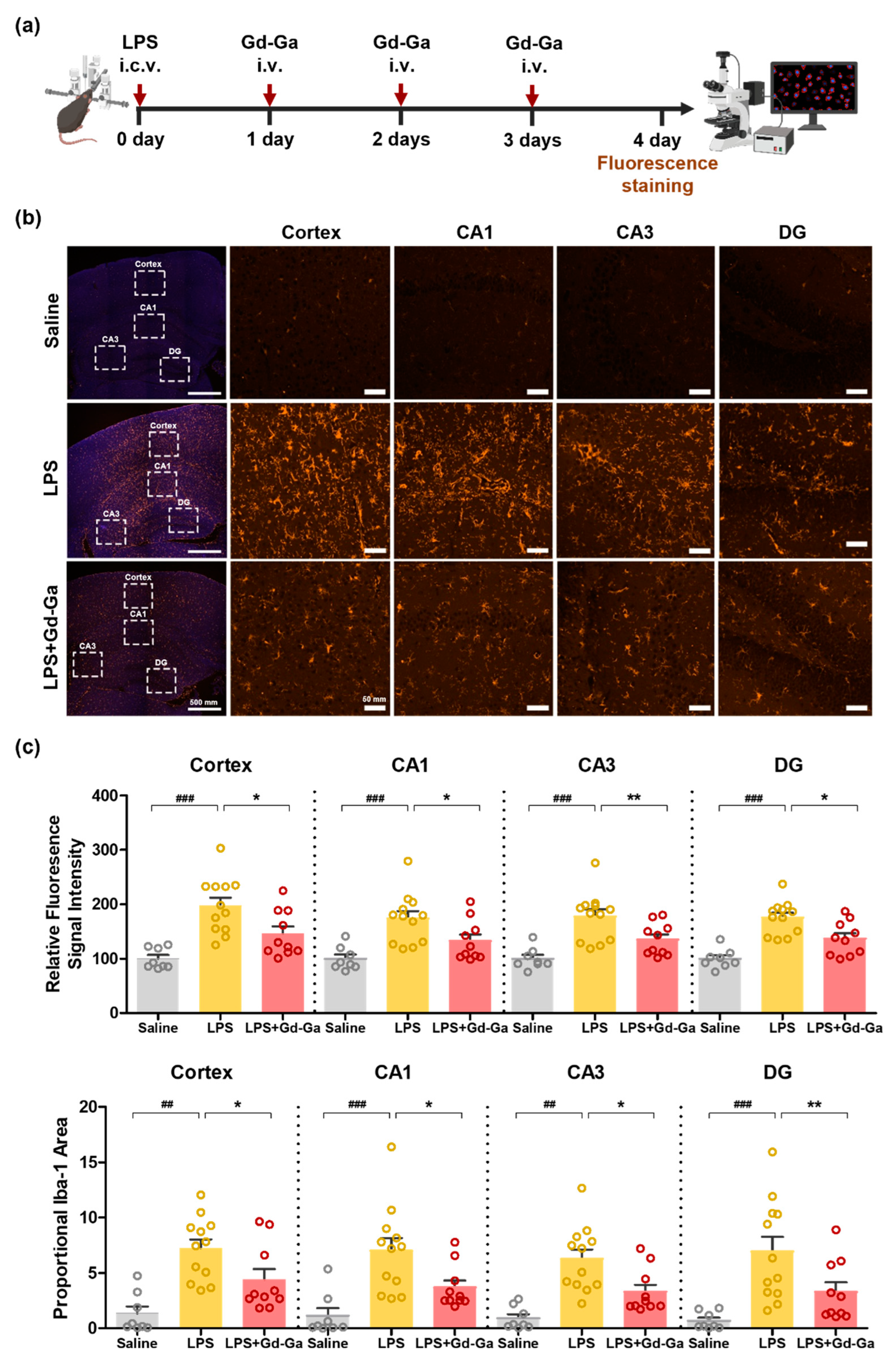 Antioxidants 13 00204 g008