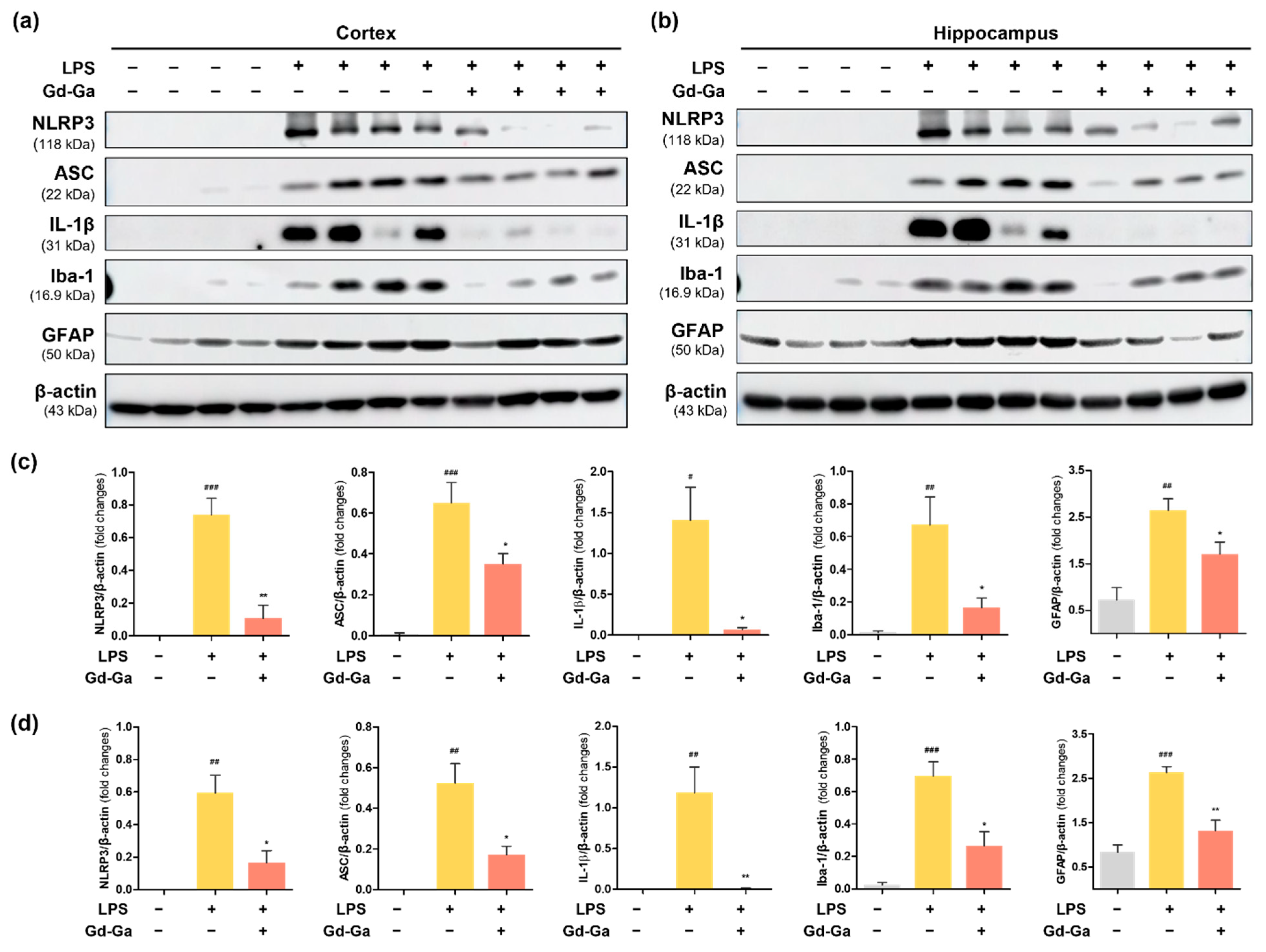 Antioxidants 13 00204 g009