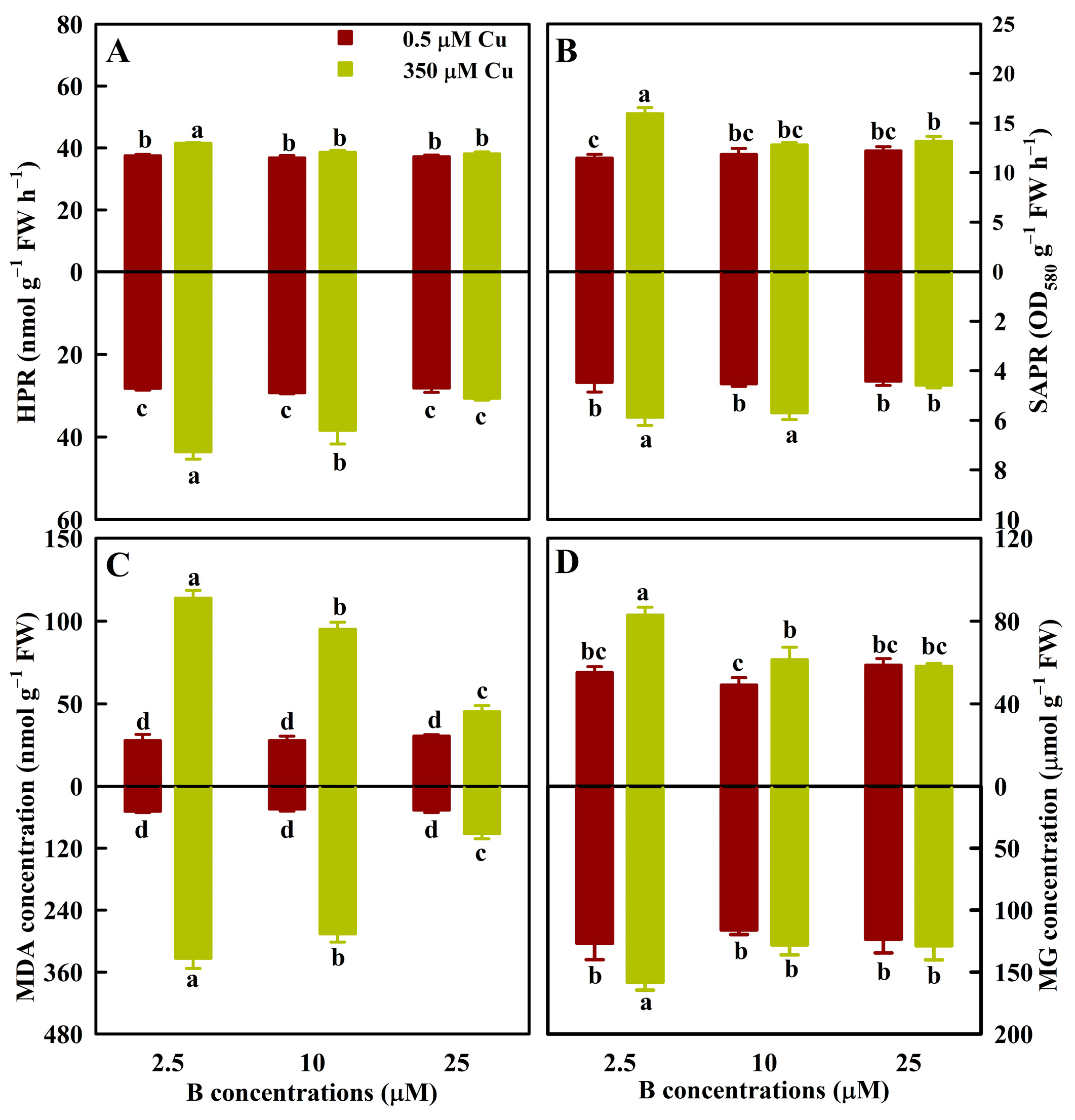 Antioxidants 13 00268 g001