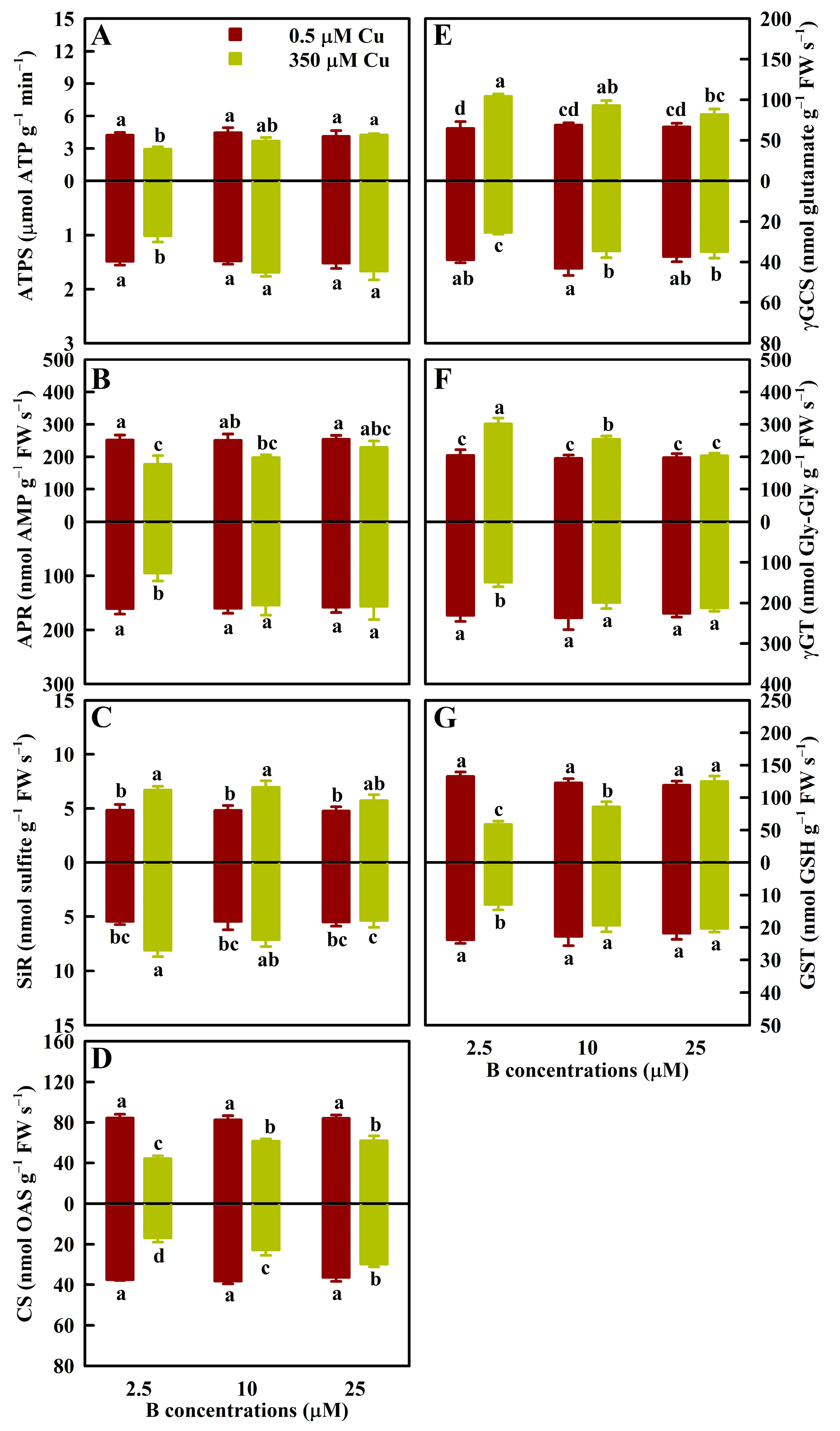 Antioxidants 13 00268 g003