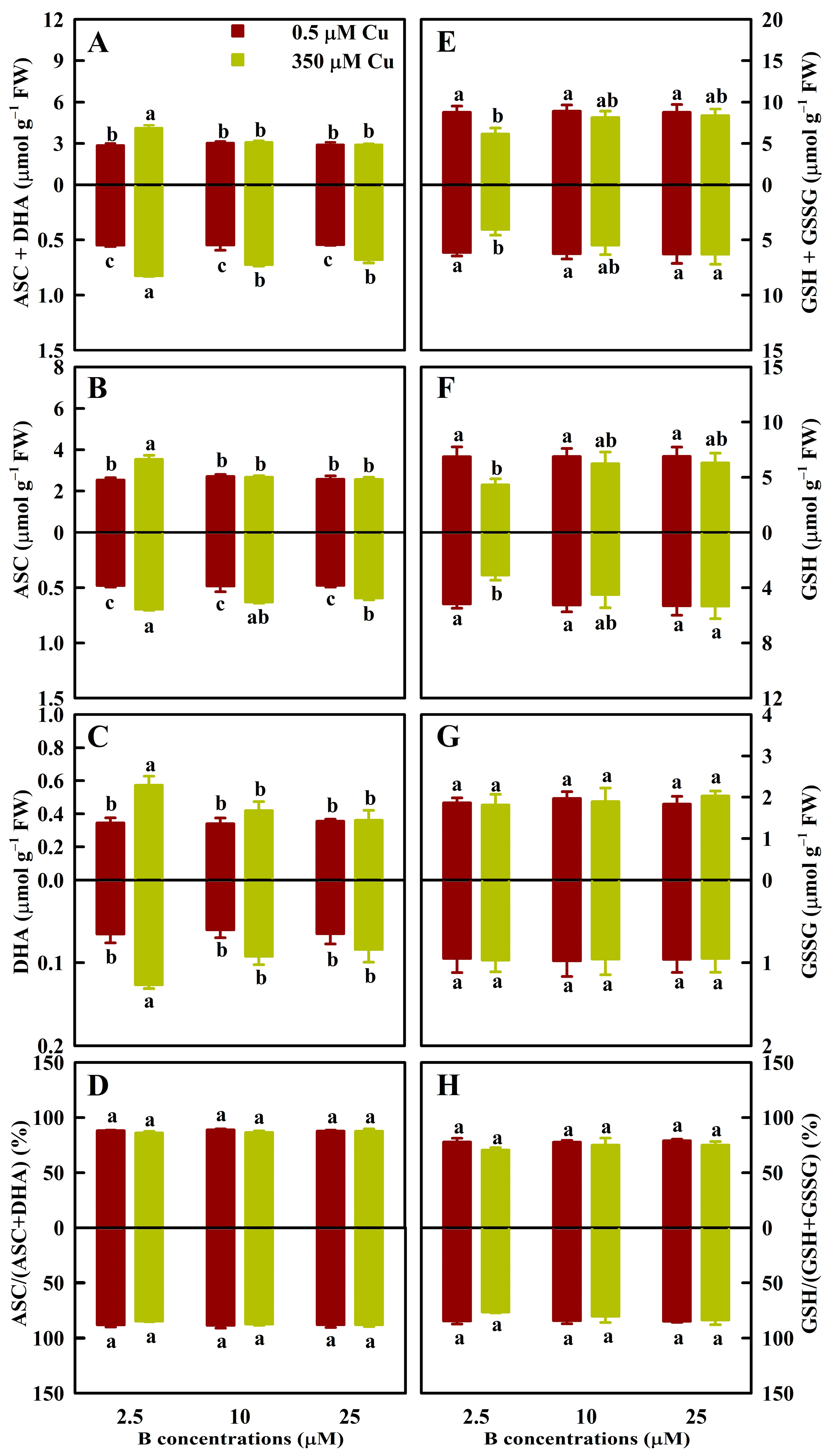 Antioxidants 13 00268 g004
