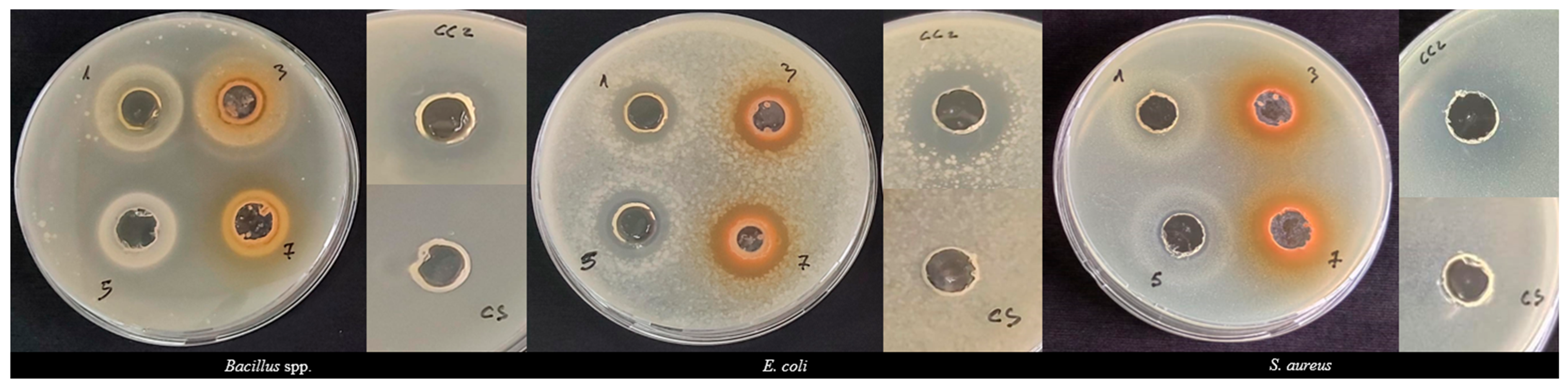 Antioxidants 13 00345 g003