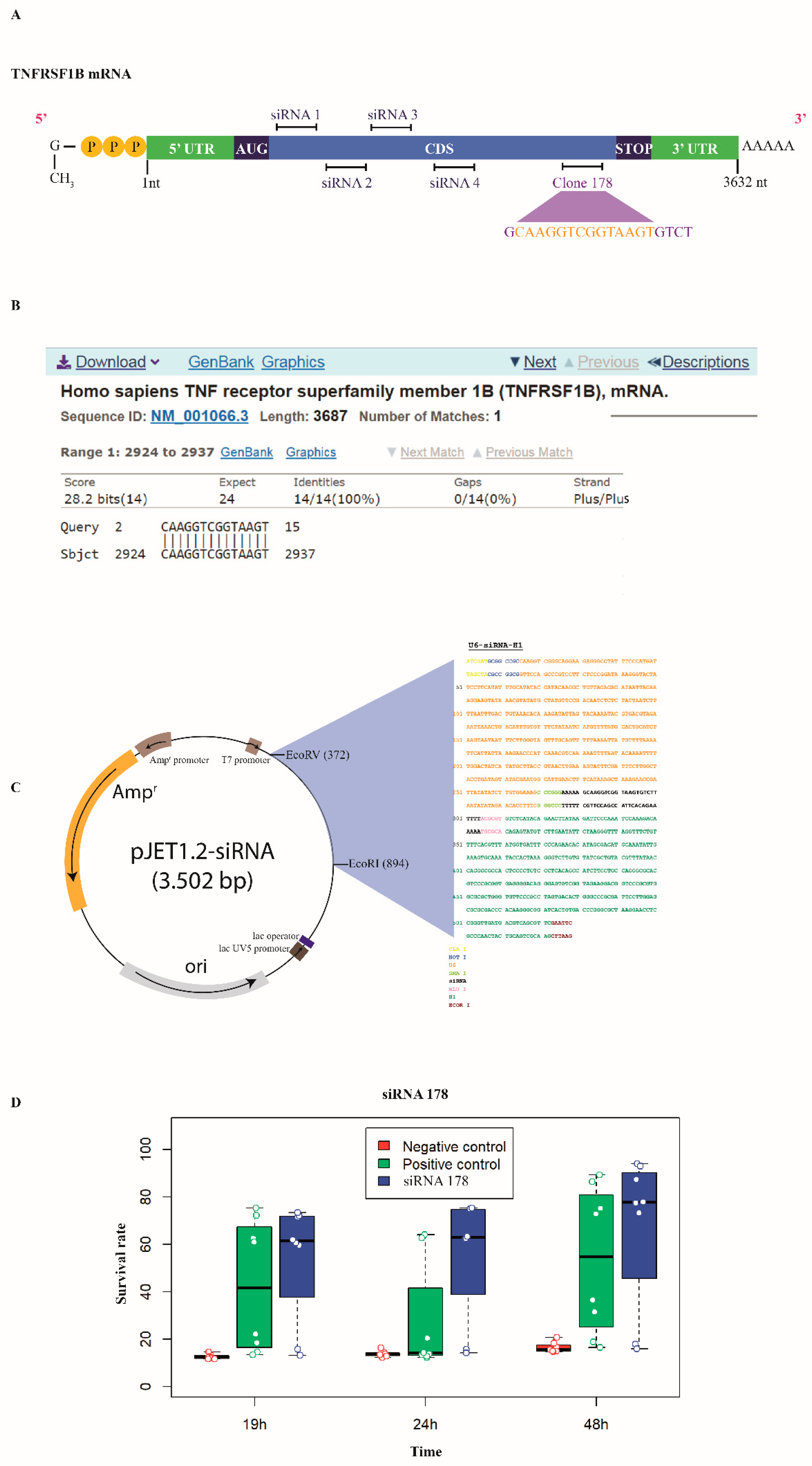 Antioxidants 13 00368 g001 Antioxidants 13 00368 g001
