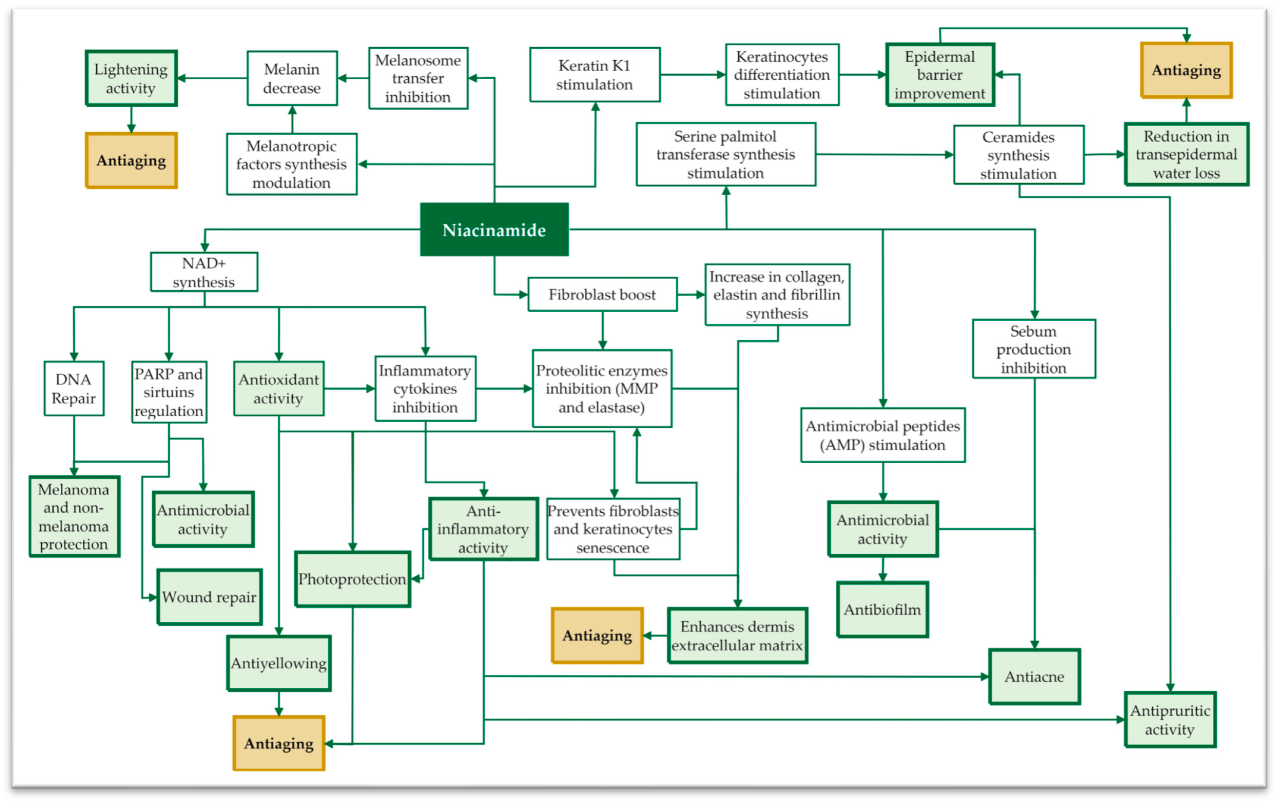 Antioxidants 13 00425 g003 Antioxidants 13 00425 g003