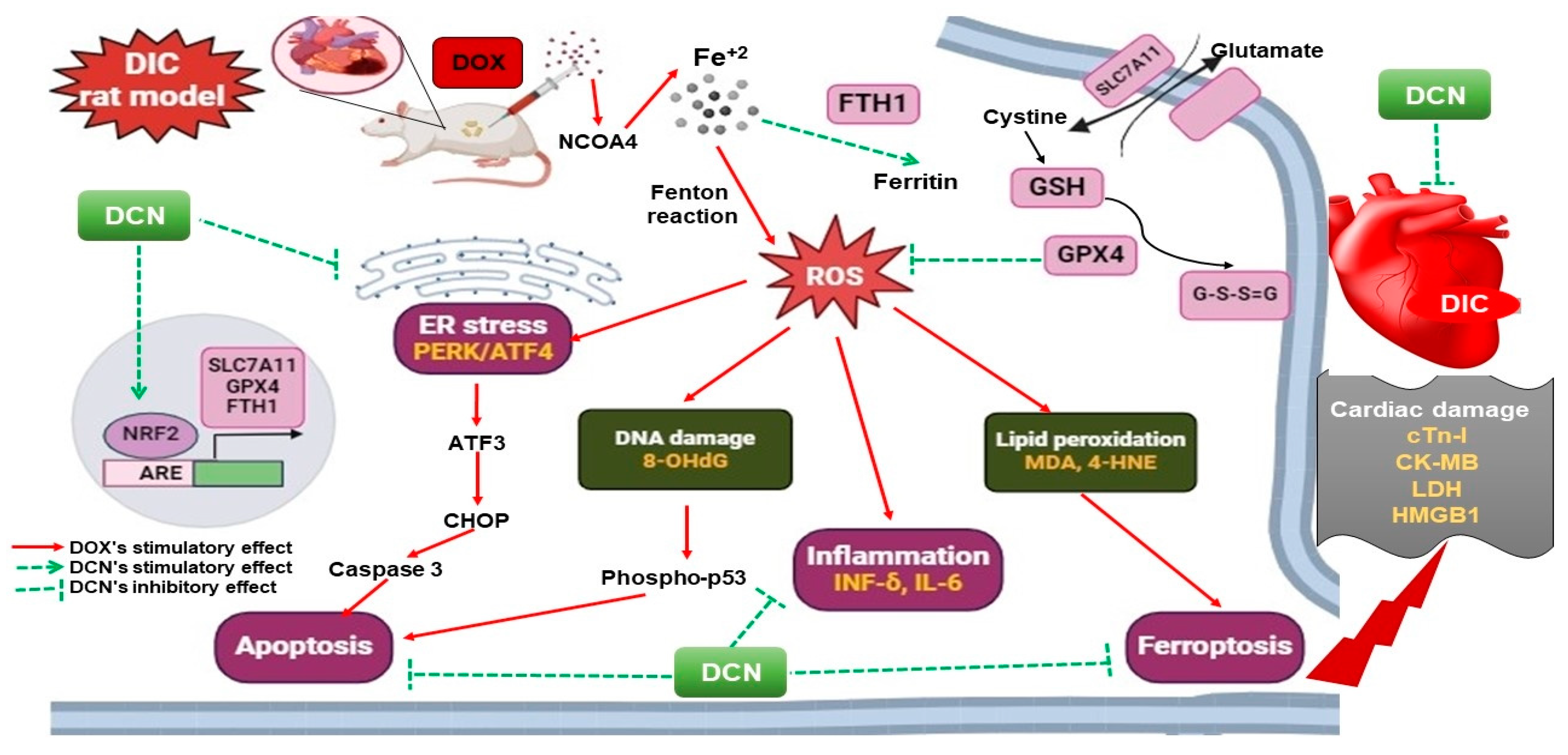 Antioxidants 13 00493 g010