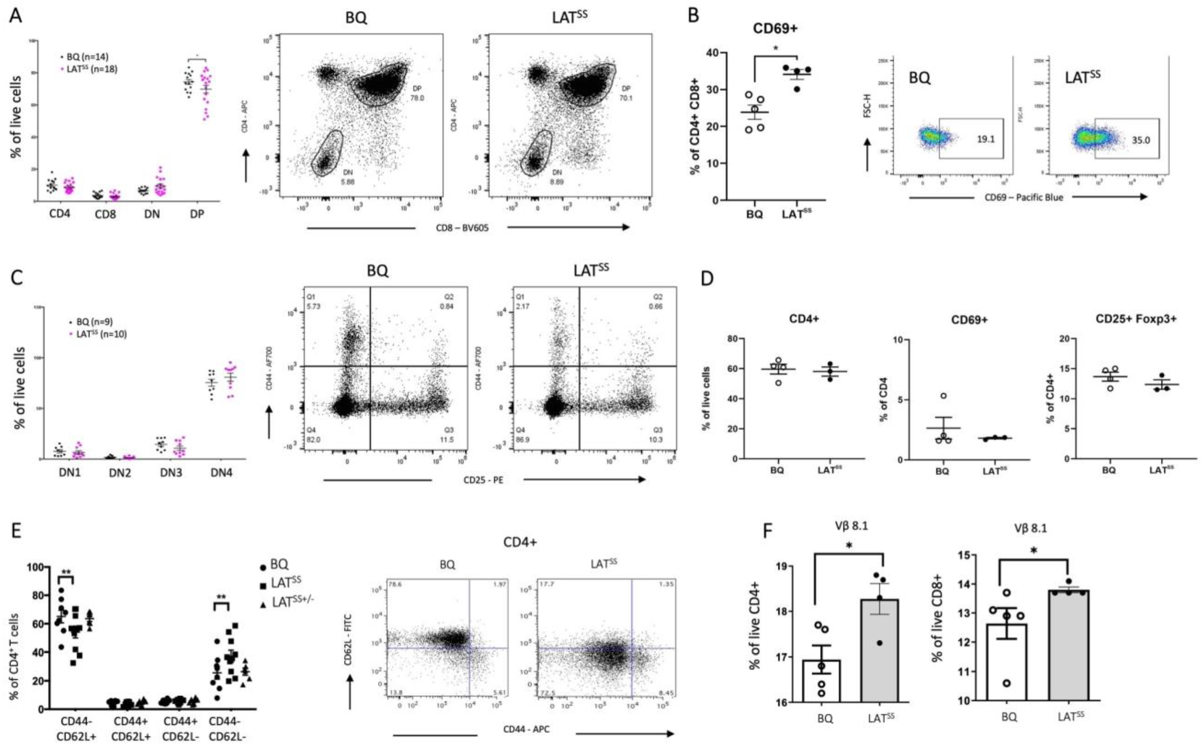Antioxidants 13 00499 g002