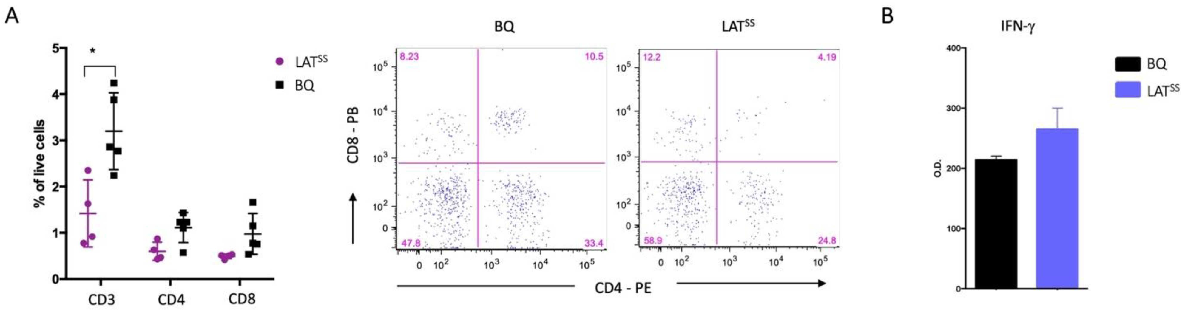 Antioxidants 13 00499 g0a4