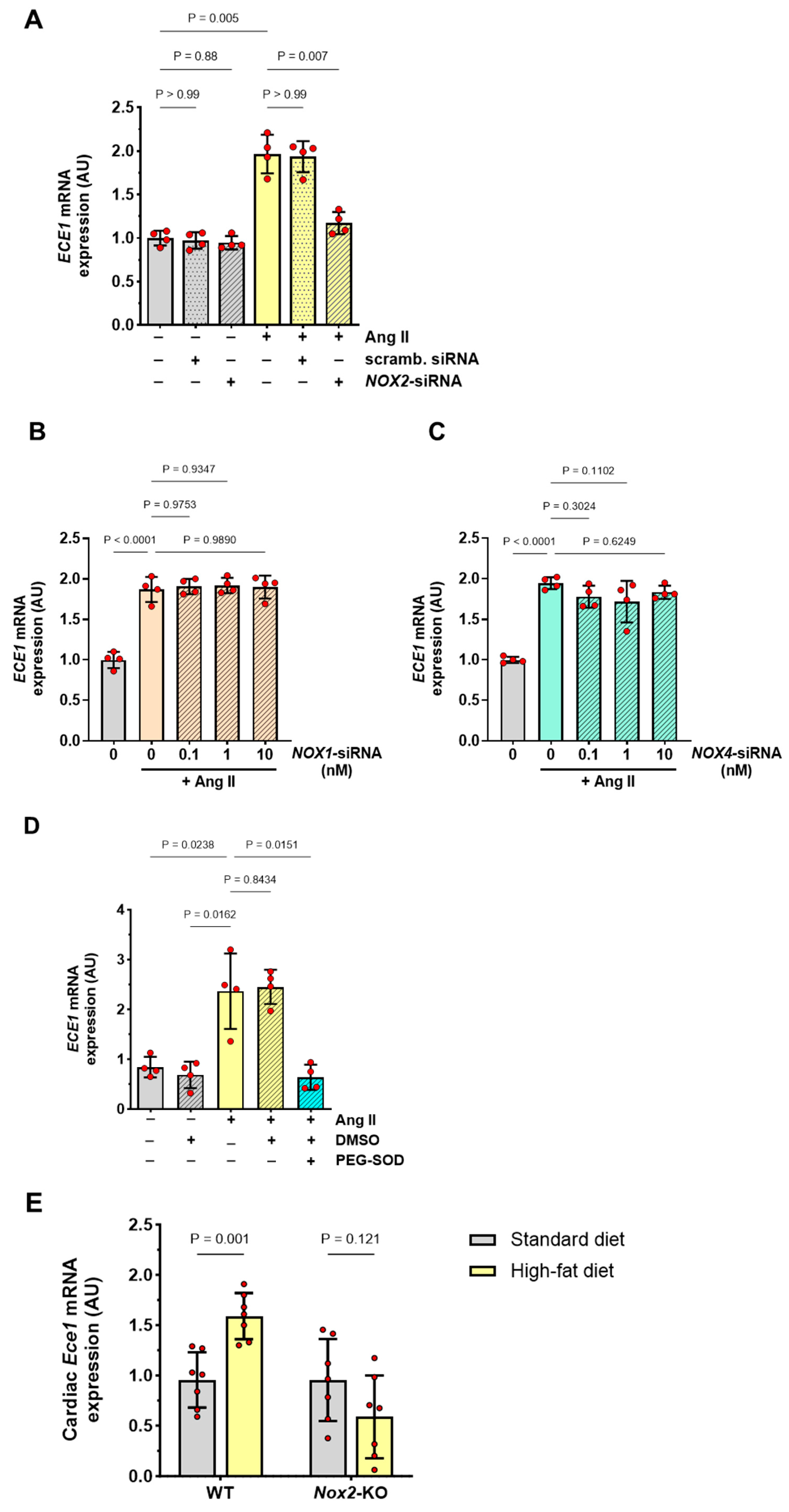 Antioxidants 13 00500 g004