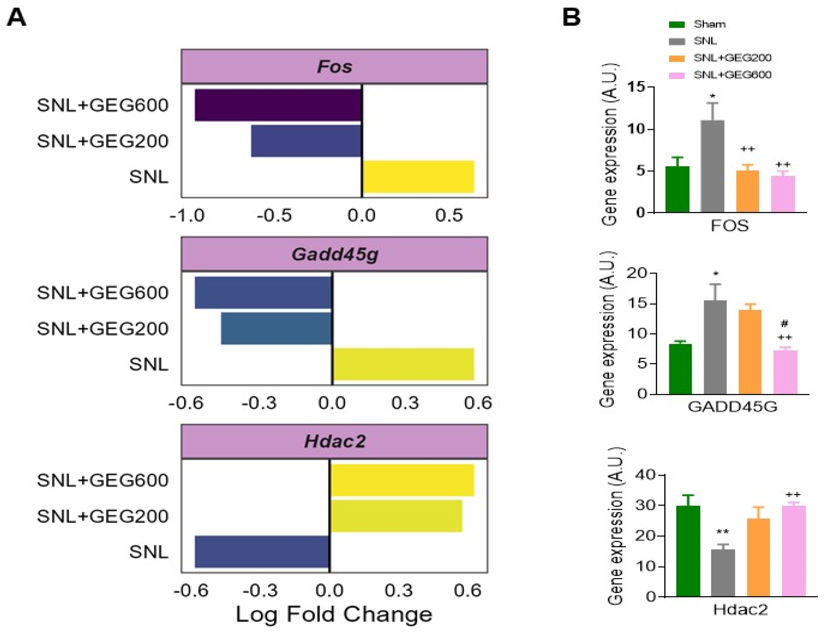 Antioxidants 13 00502 g004