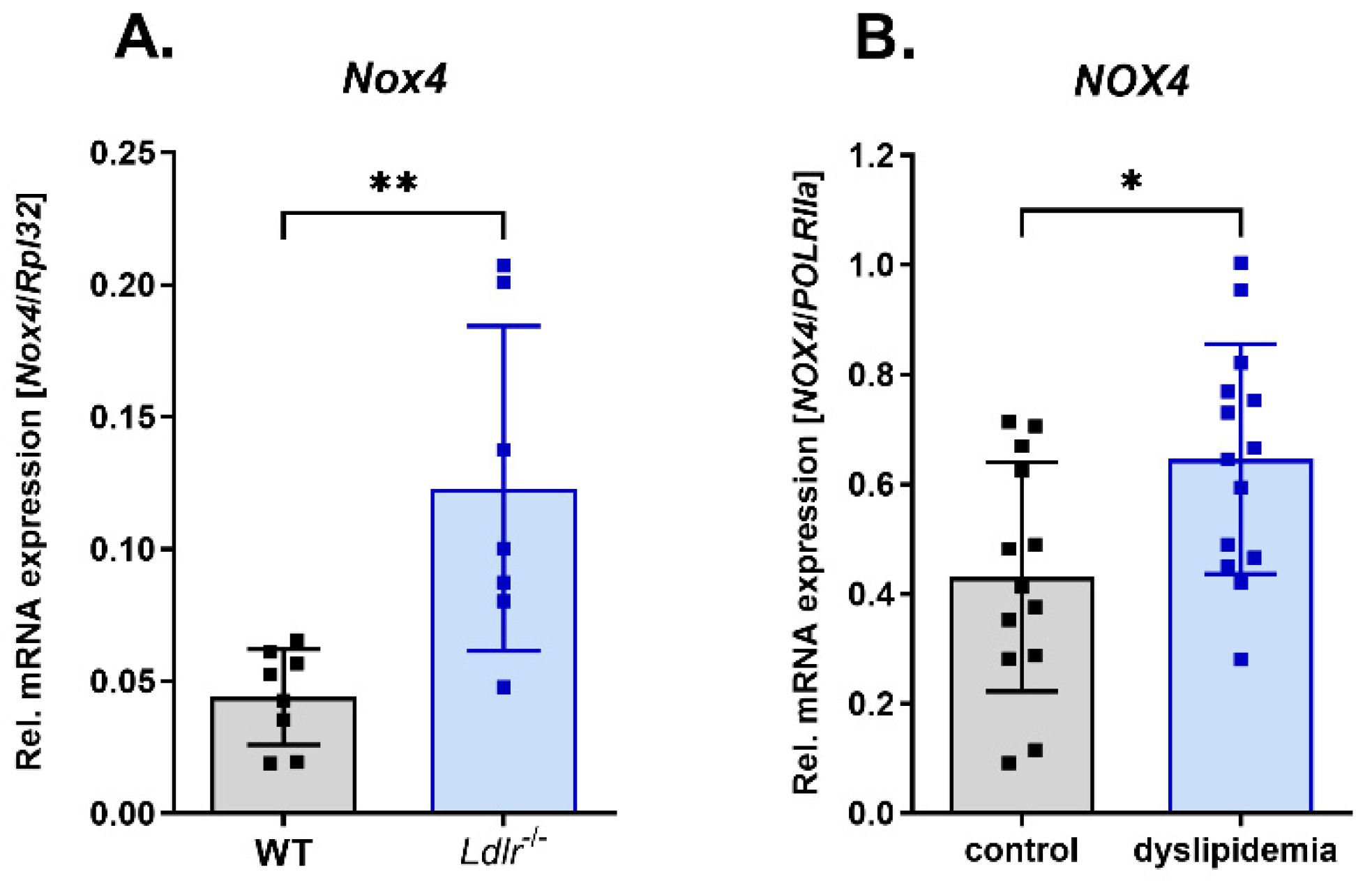 Antioxidants 13 00503 g001