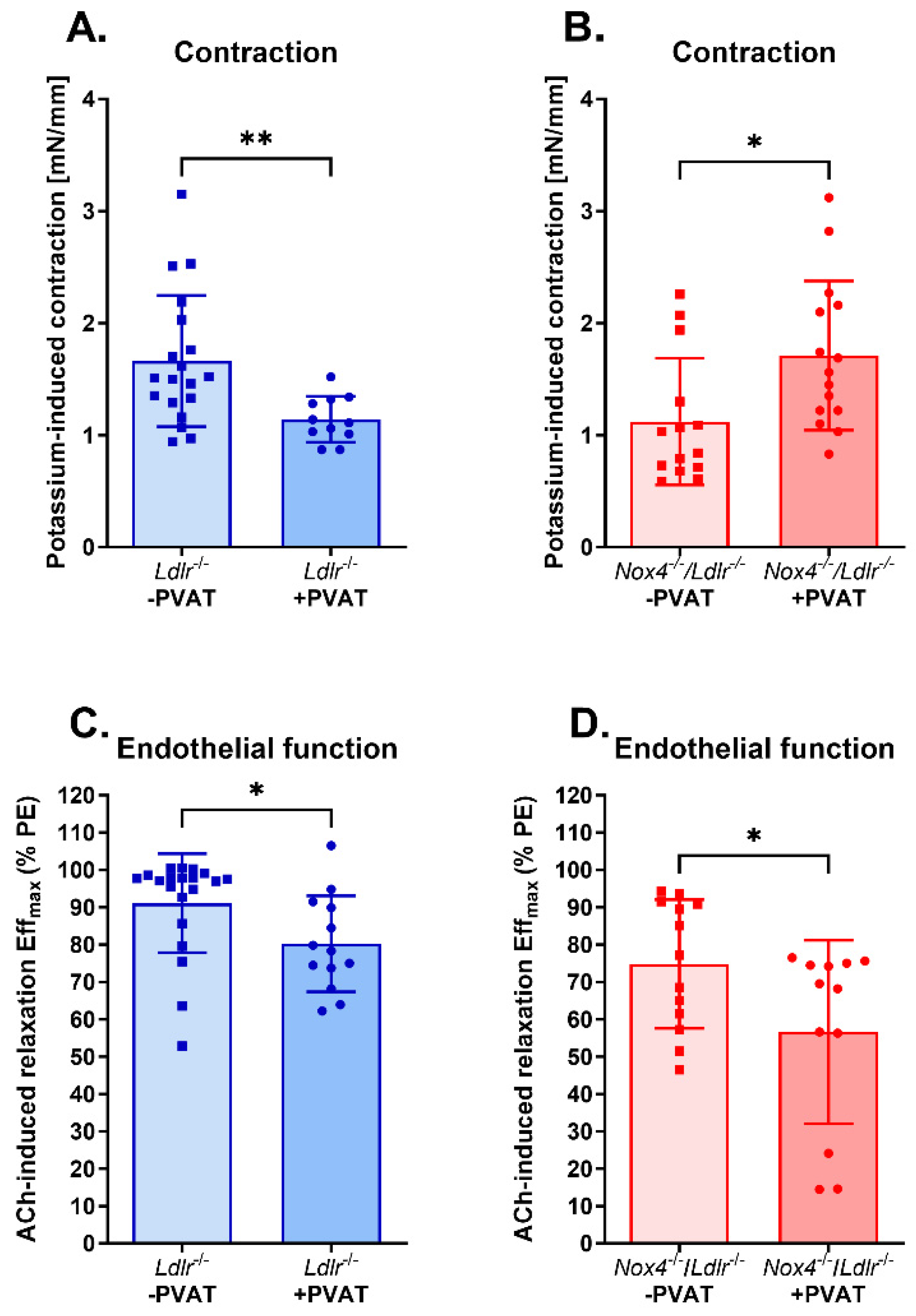 Antioxidants 13 00503 g003