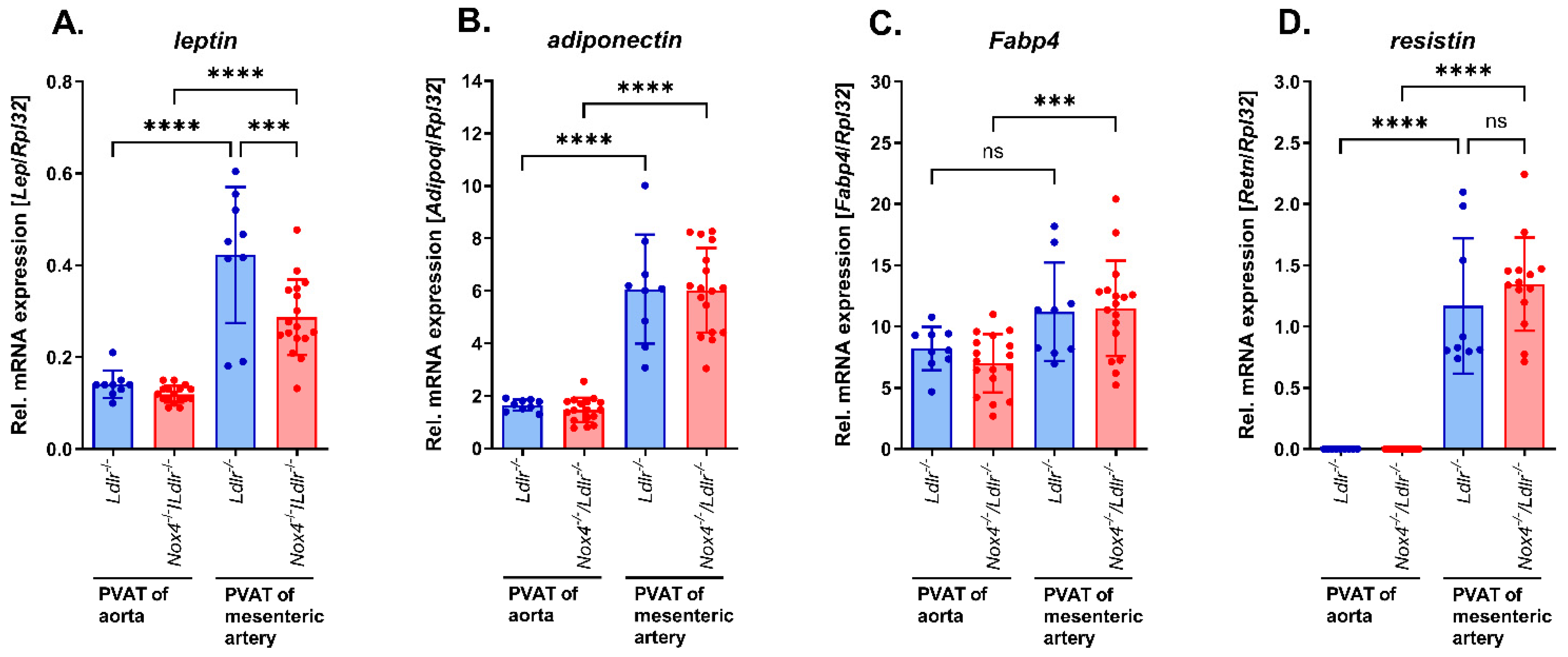 Antioxidants 13 00503 g004
