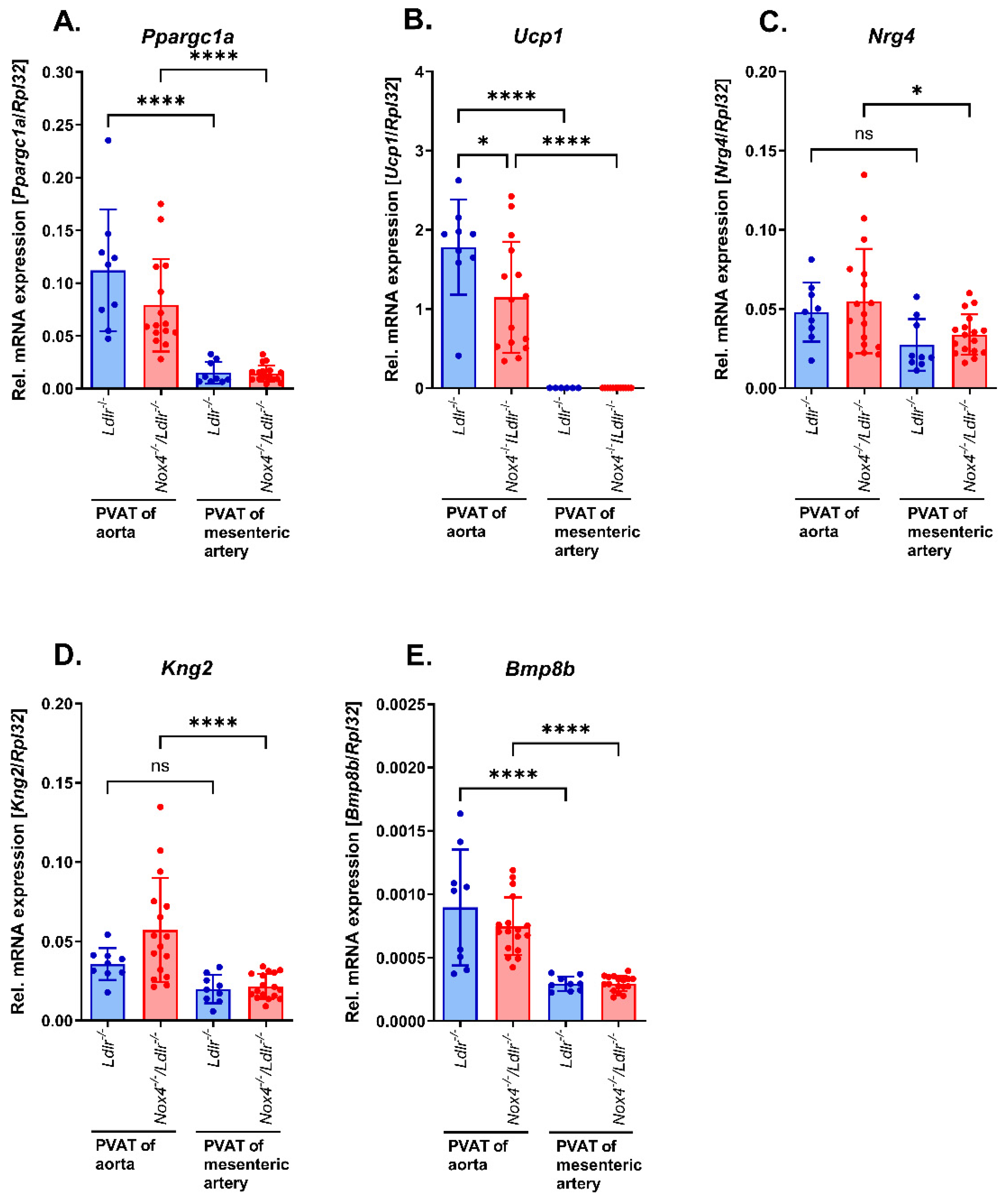 Antioxidants 13 00503 g005