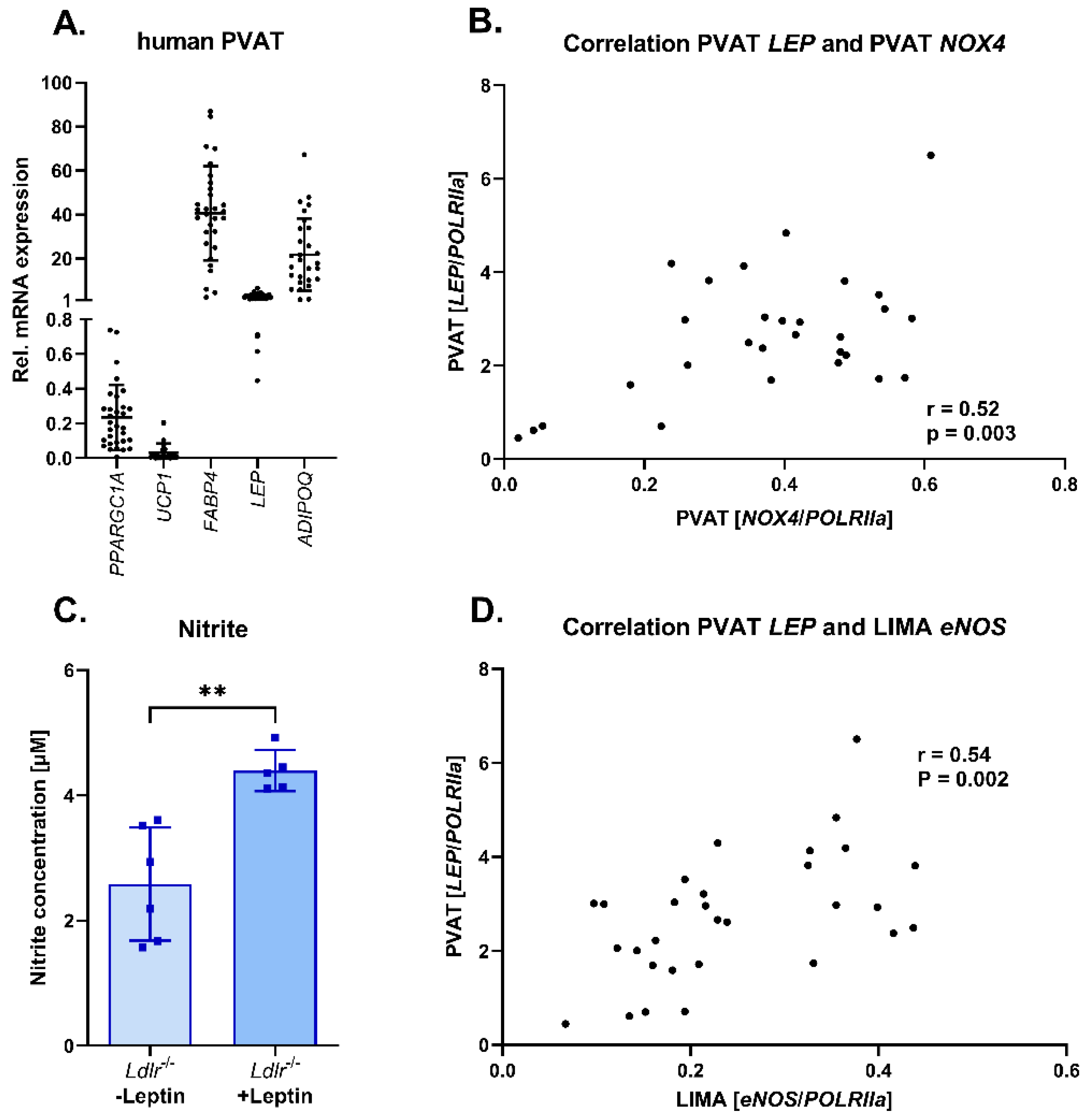 Antioxidants 13 00503 g006