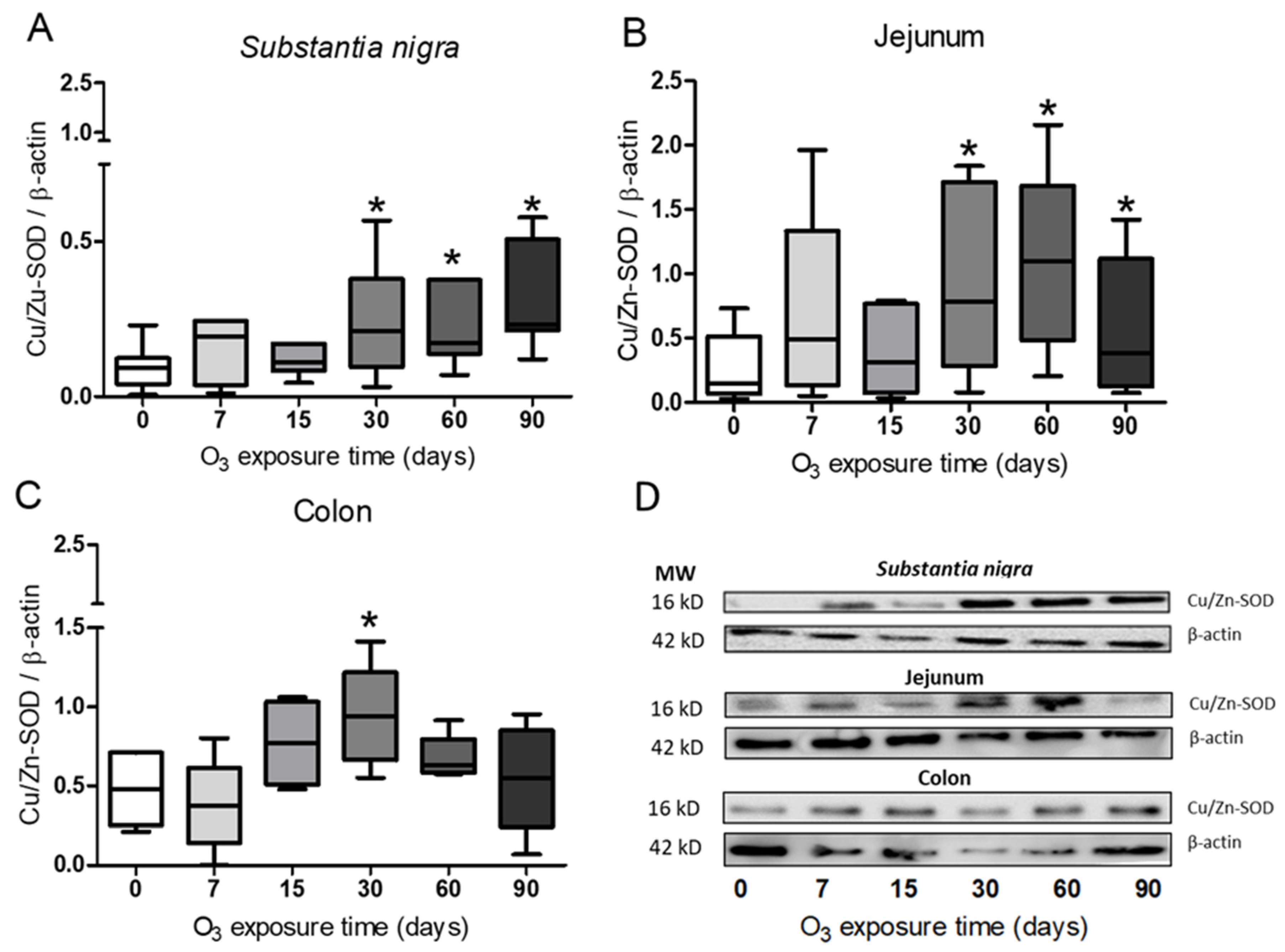 Antioxidants 13 00536 g005