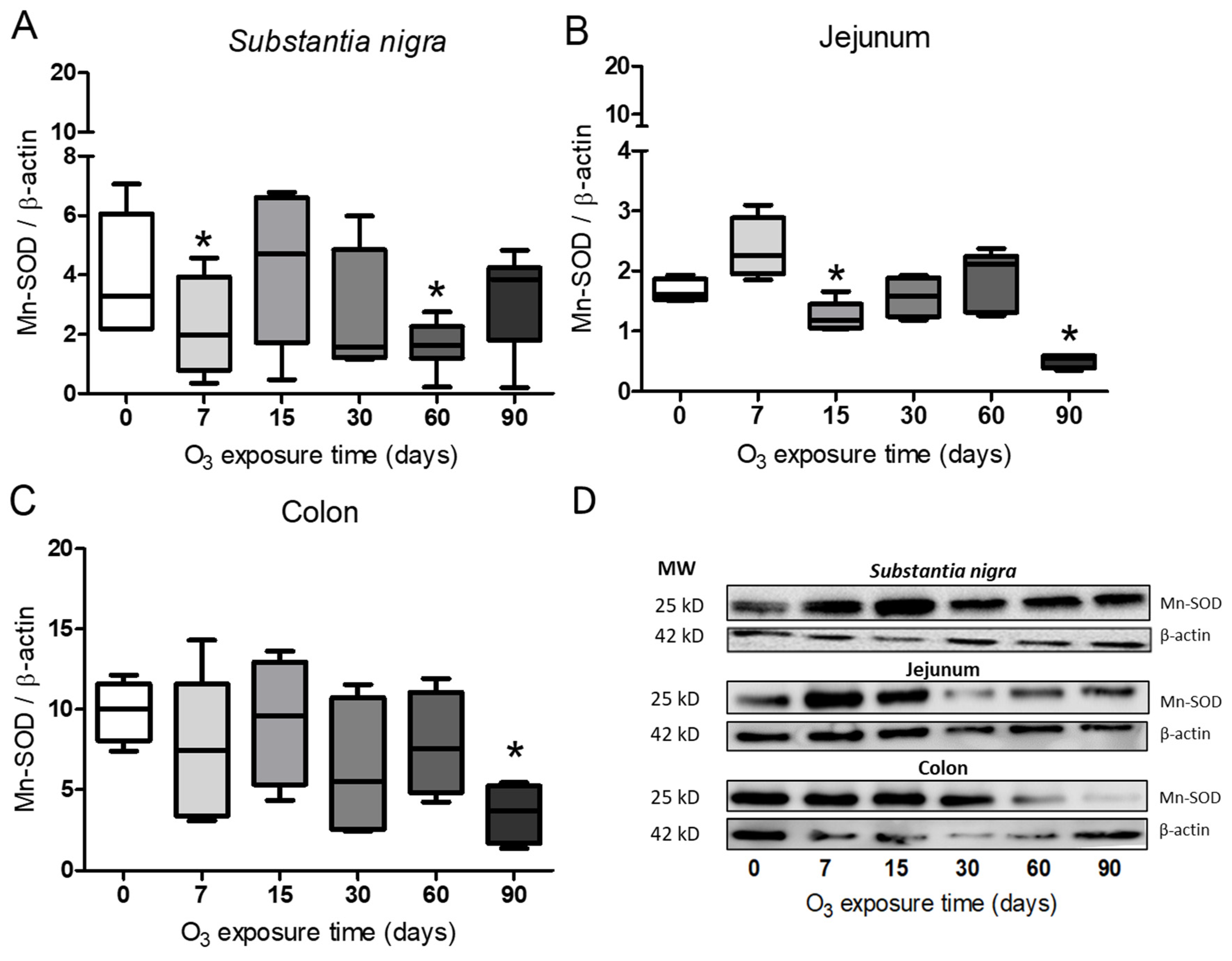 Antioxidants 13 00536 g006