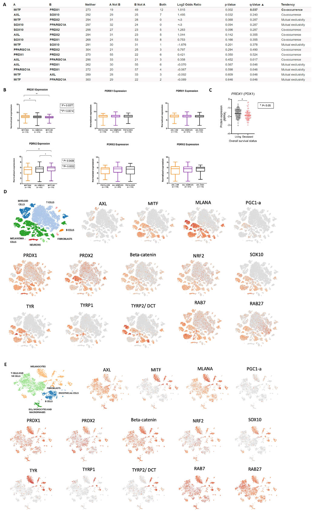 Antioxidants 13 00555 g005
