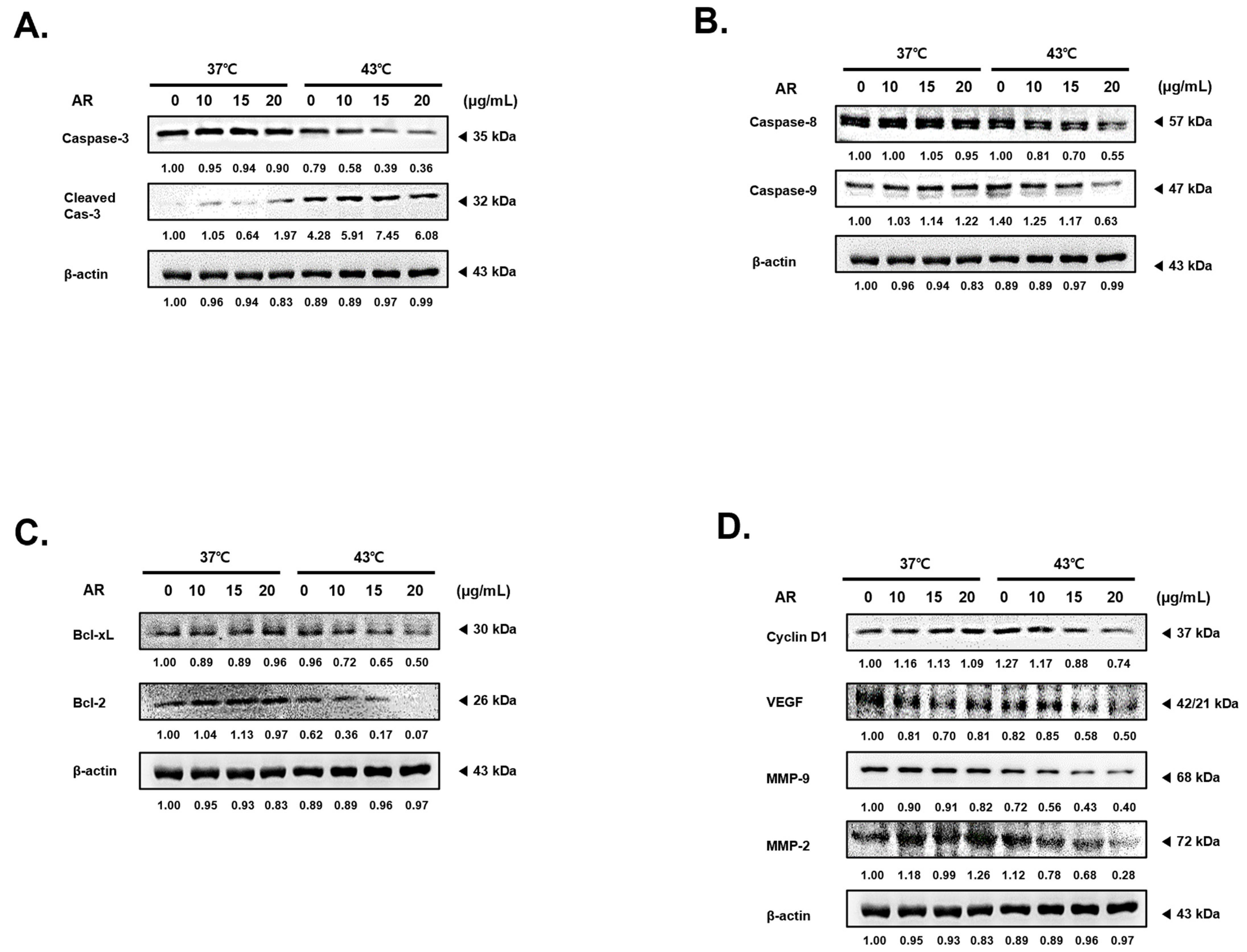 Antioxidants 13 00564 g003