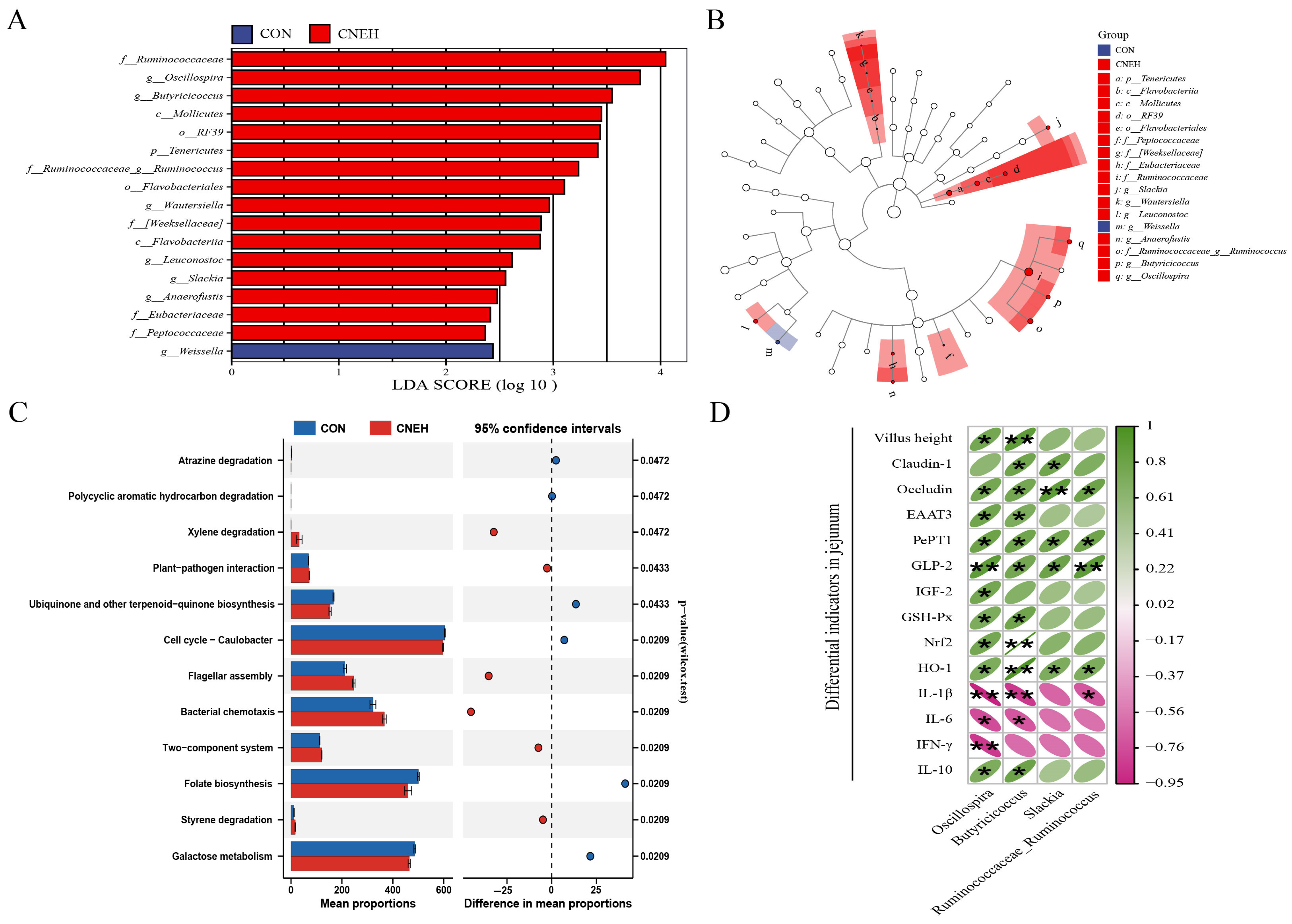 Antioxidants 13 00572 g007