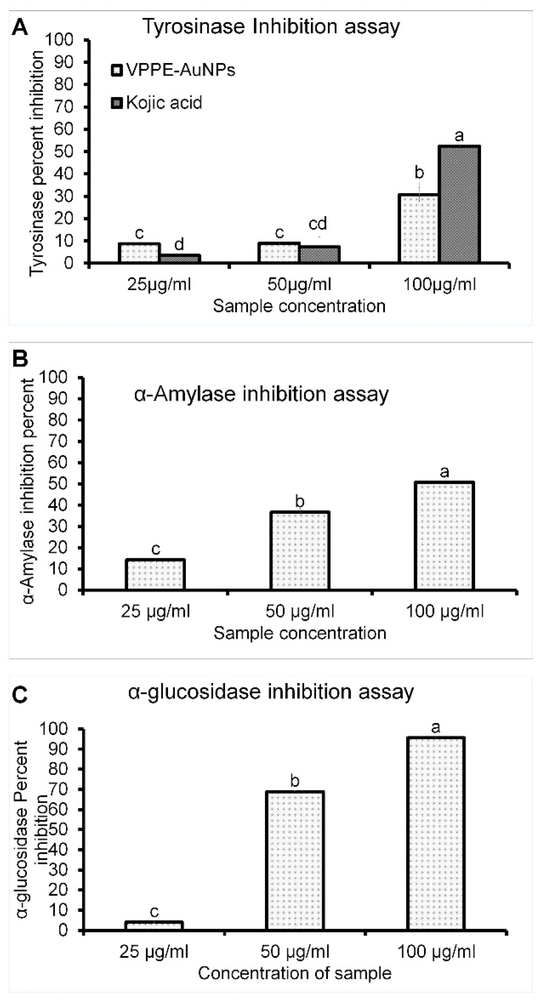 Antioxidants 13 00581 g004