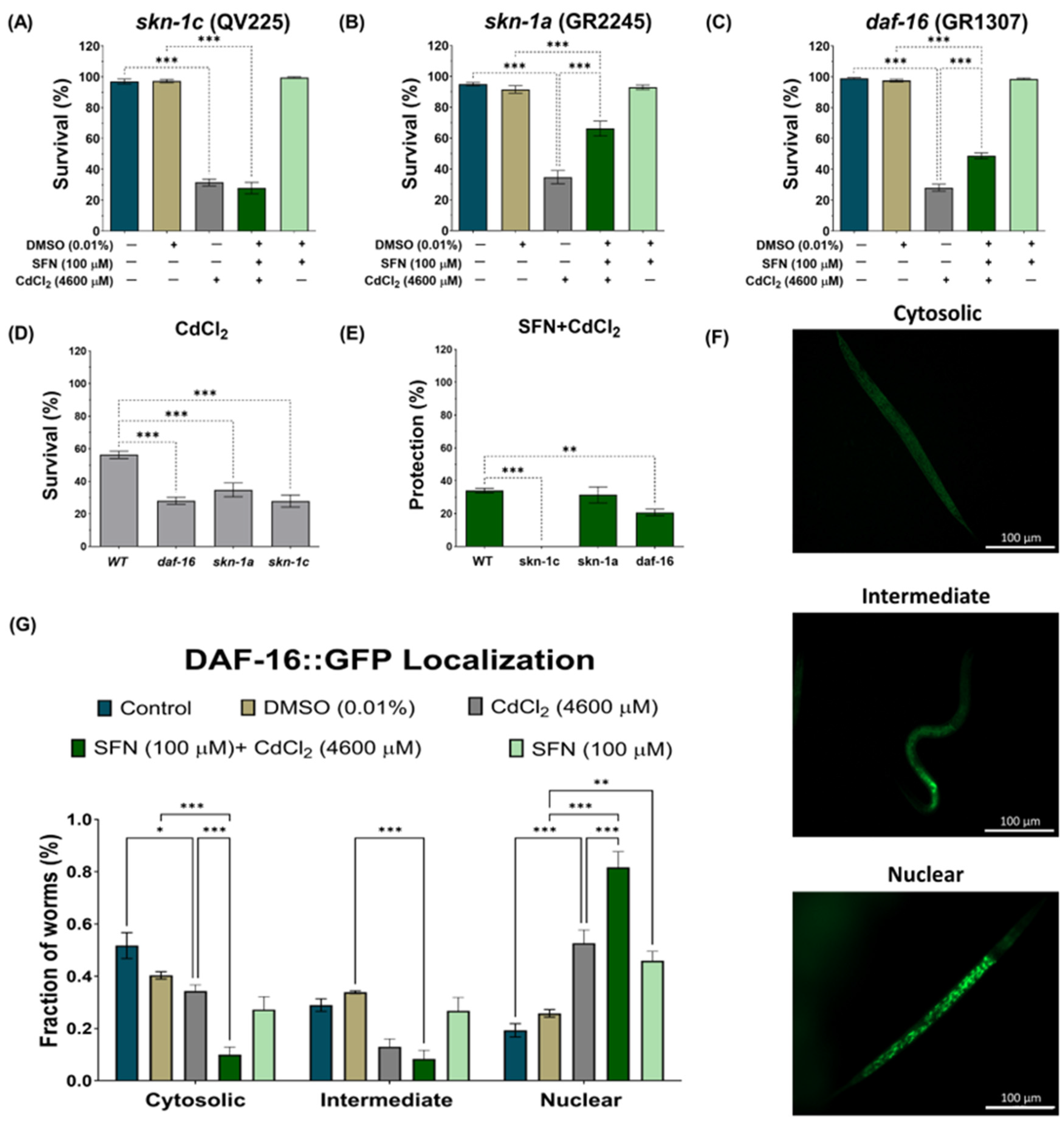 Antioxidants 13 00584 g009