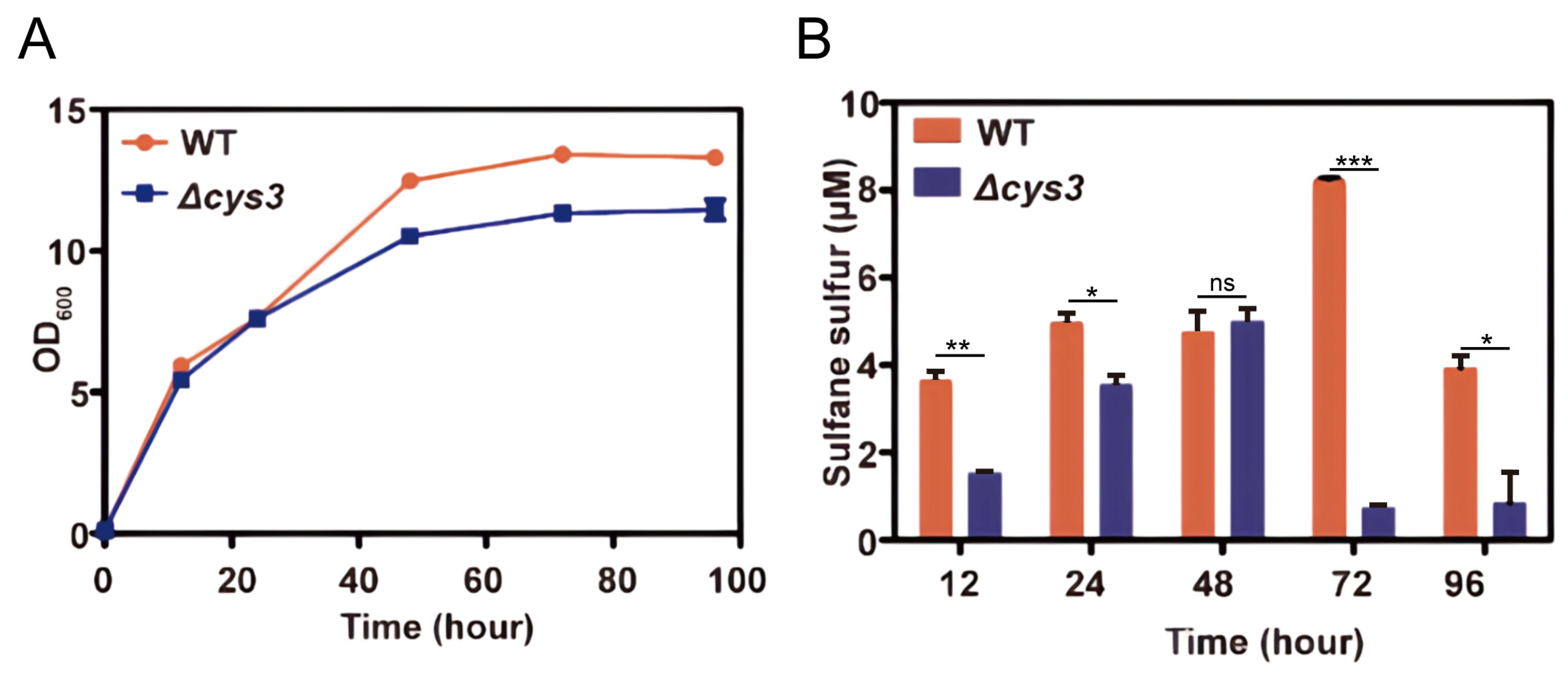 Antioxidants 13 00589 g003