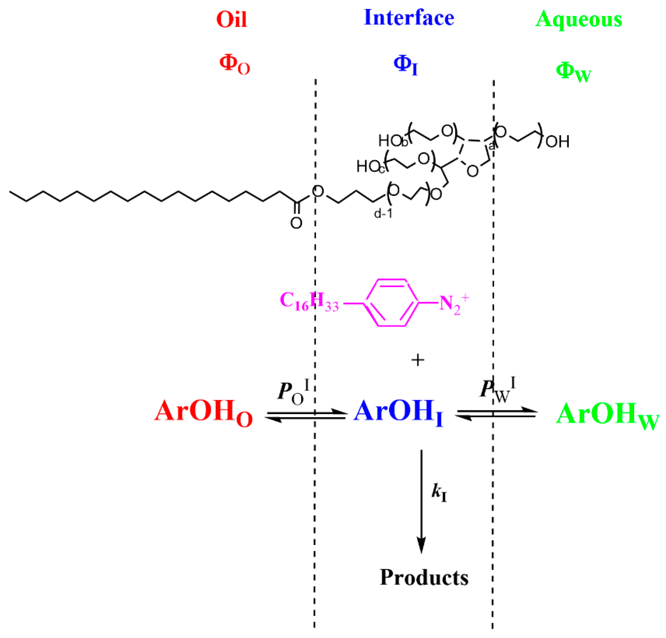 Antioxidants 13 00593 g003